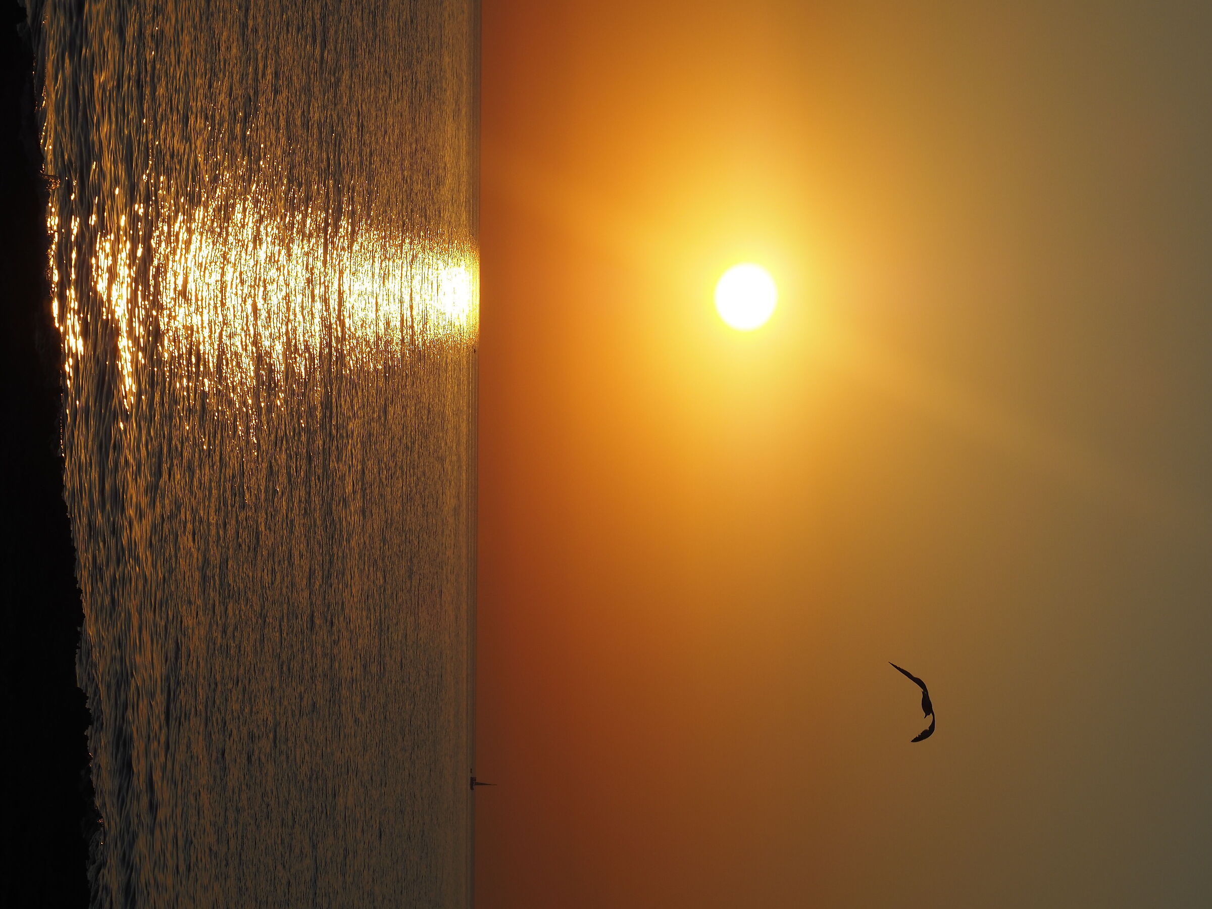 Untitled Photo