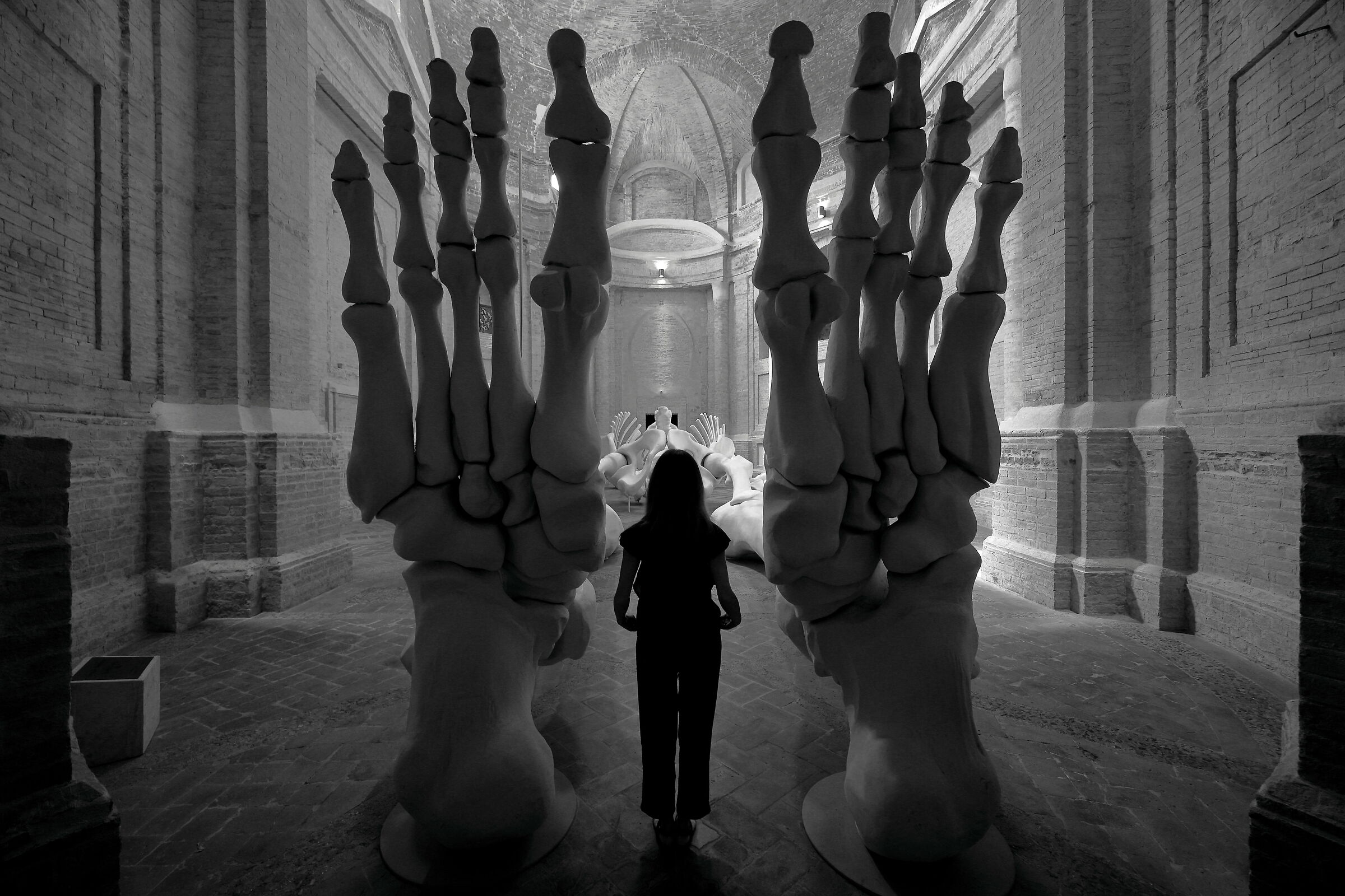 Le dimensioni contano