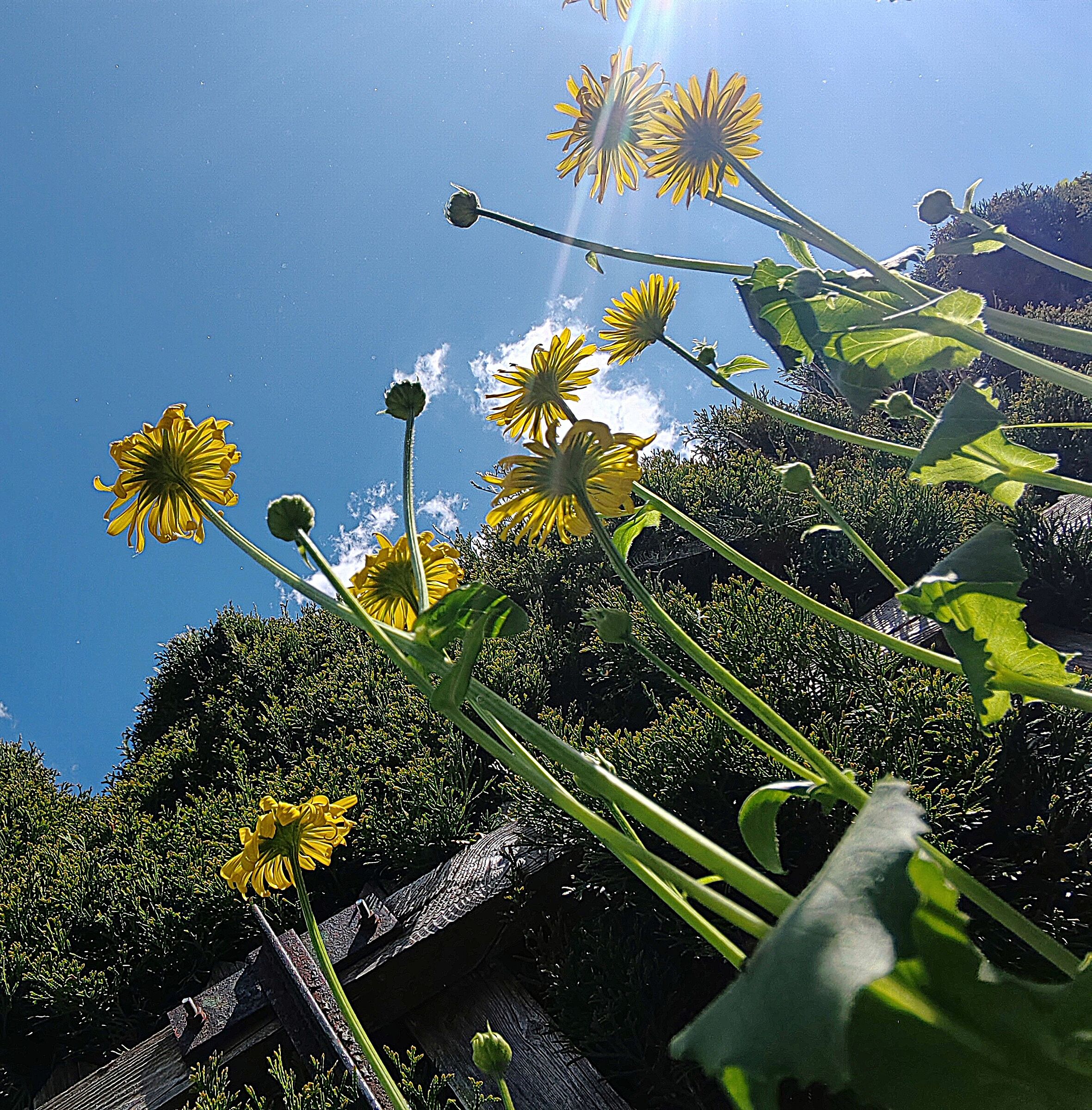 From below up ... 3 ....