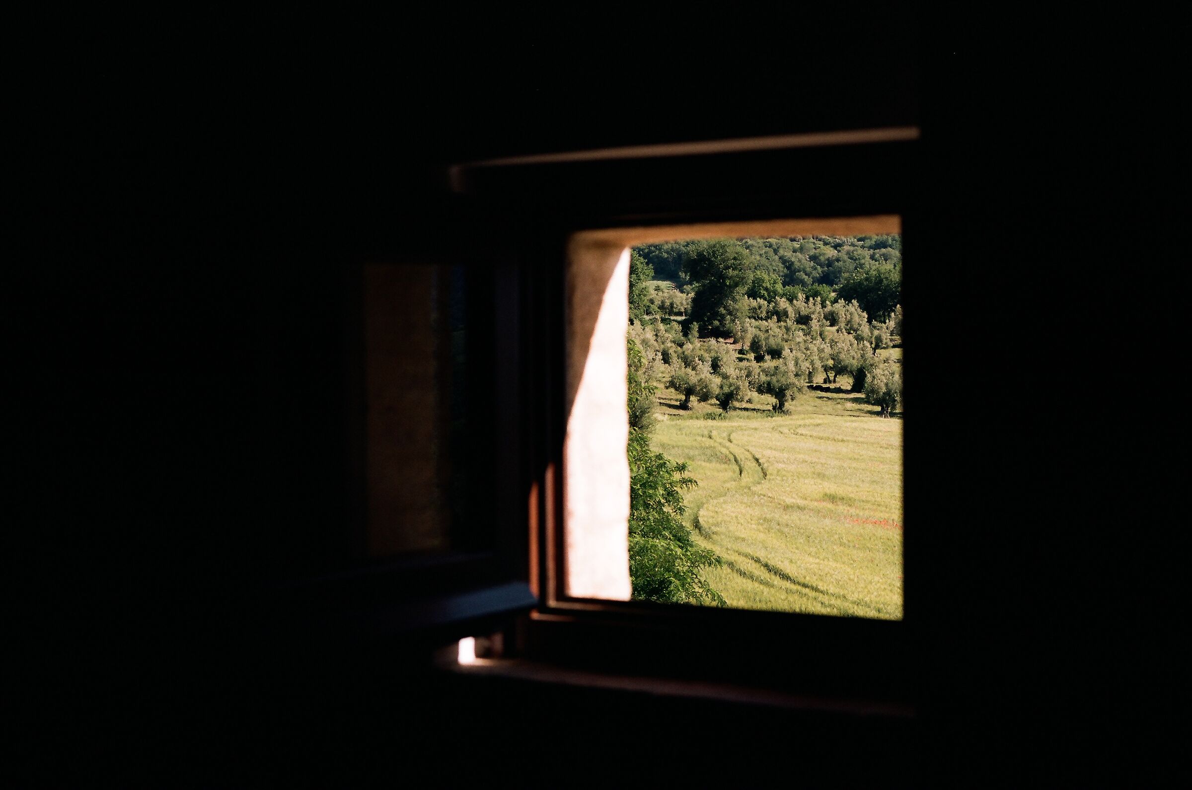 Prime luci del mattino a Borgo Colognola, PG