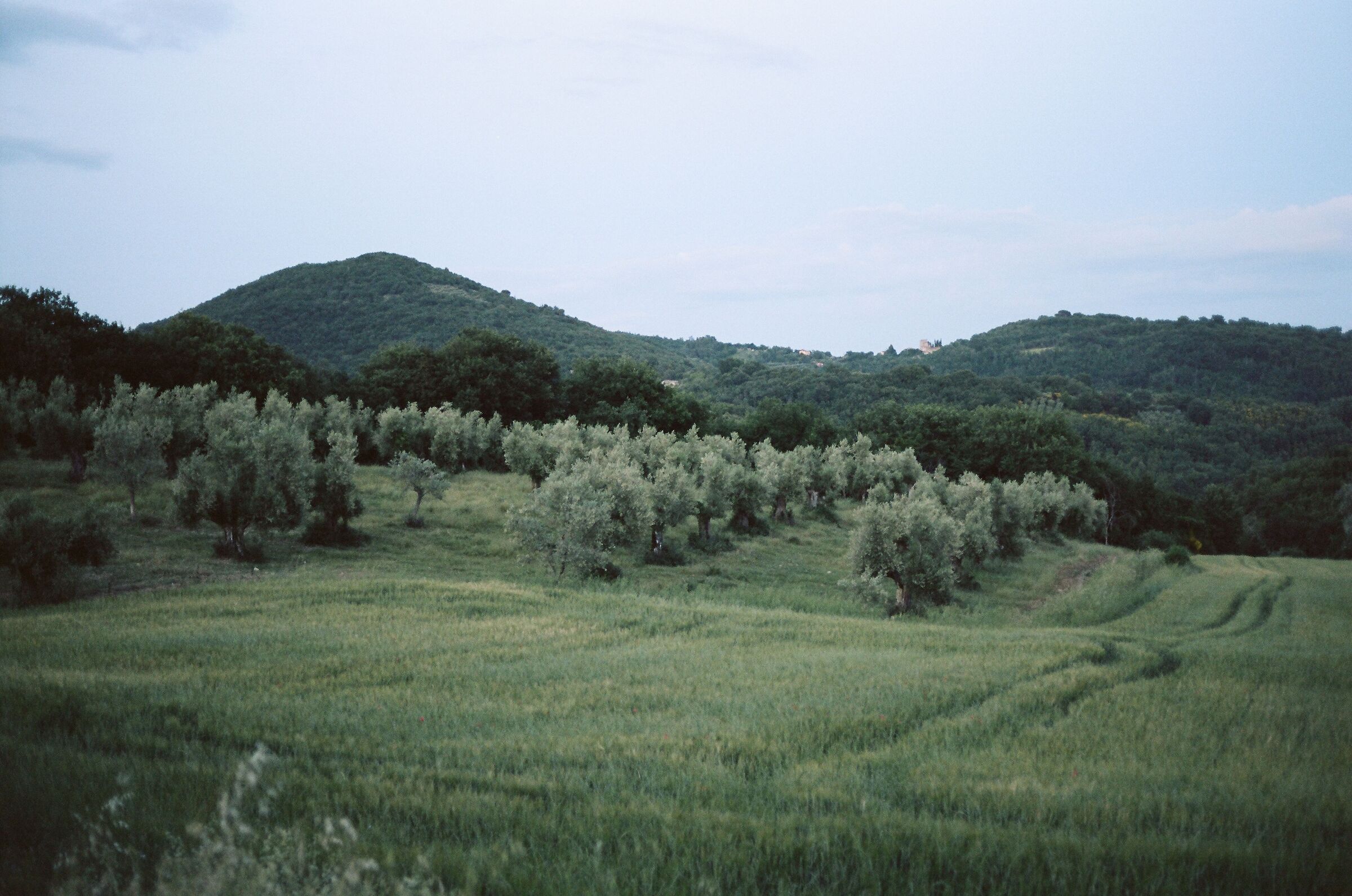 Sera a Borgo Colognola, PG