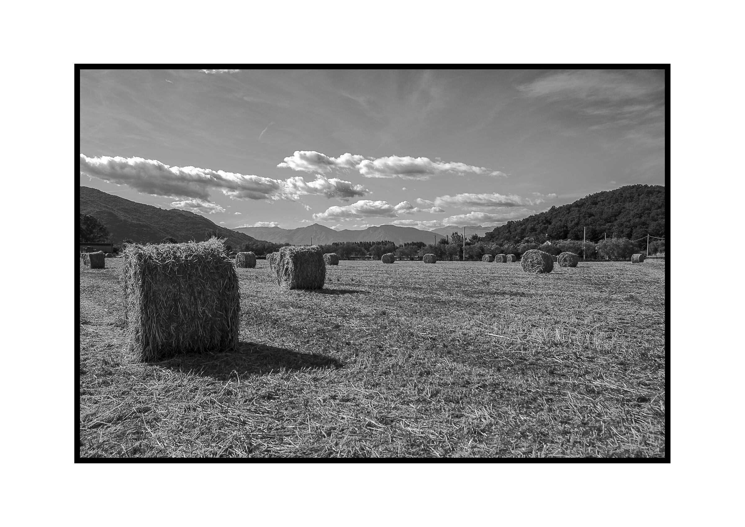 Caserta Countryside