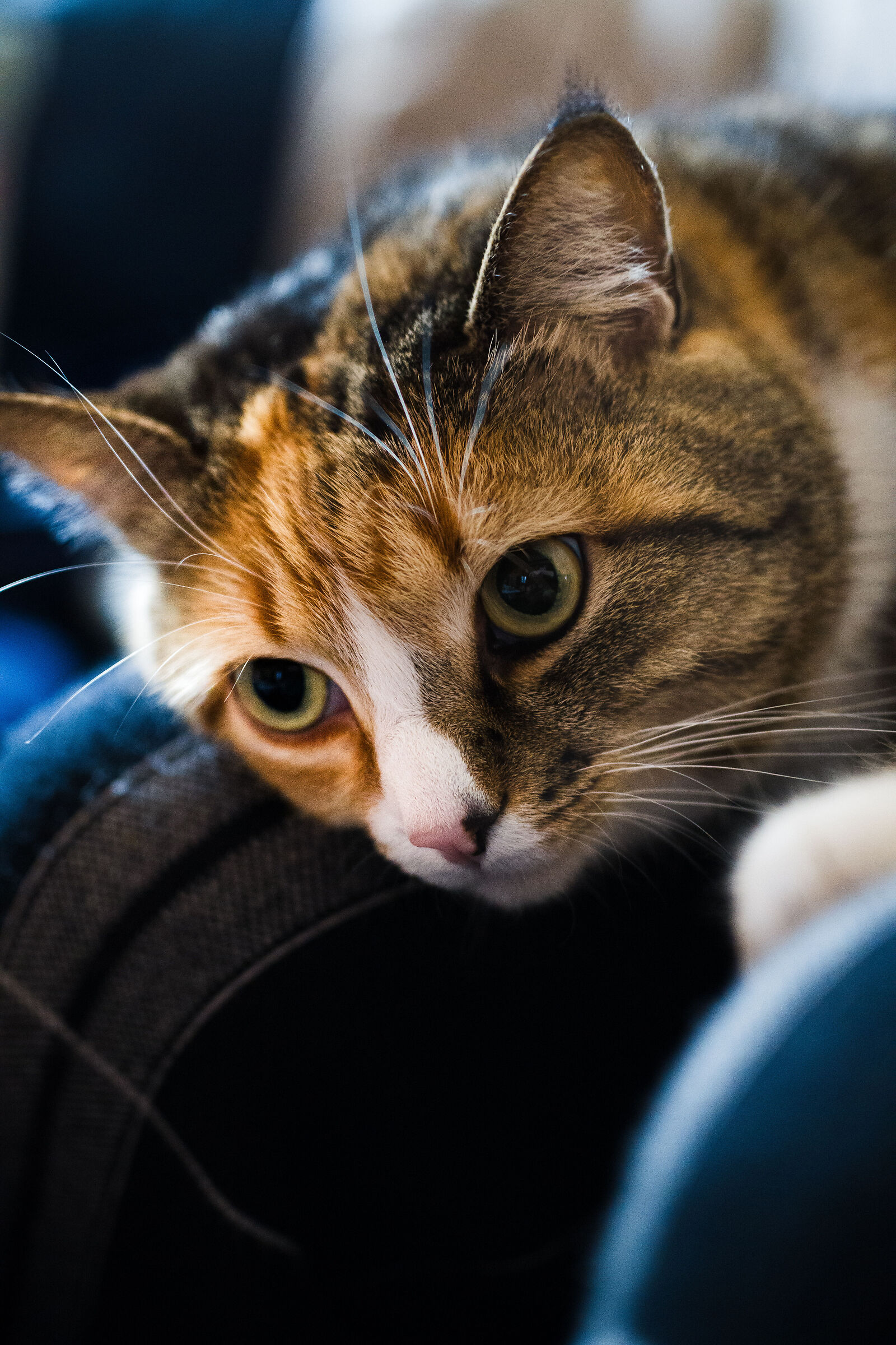 Luna