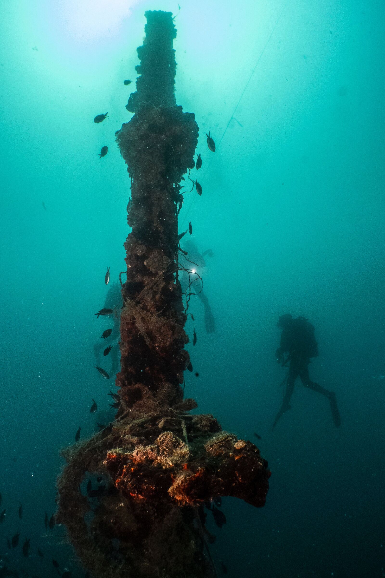 Gulten Wreck Weather Tower
