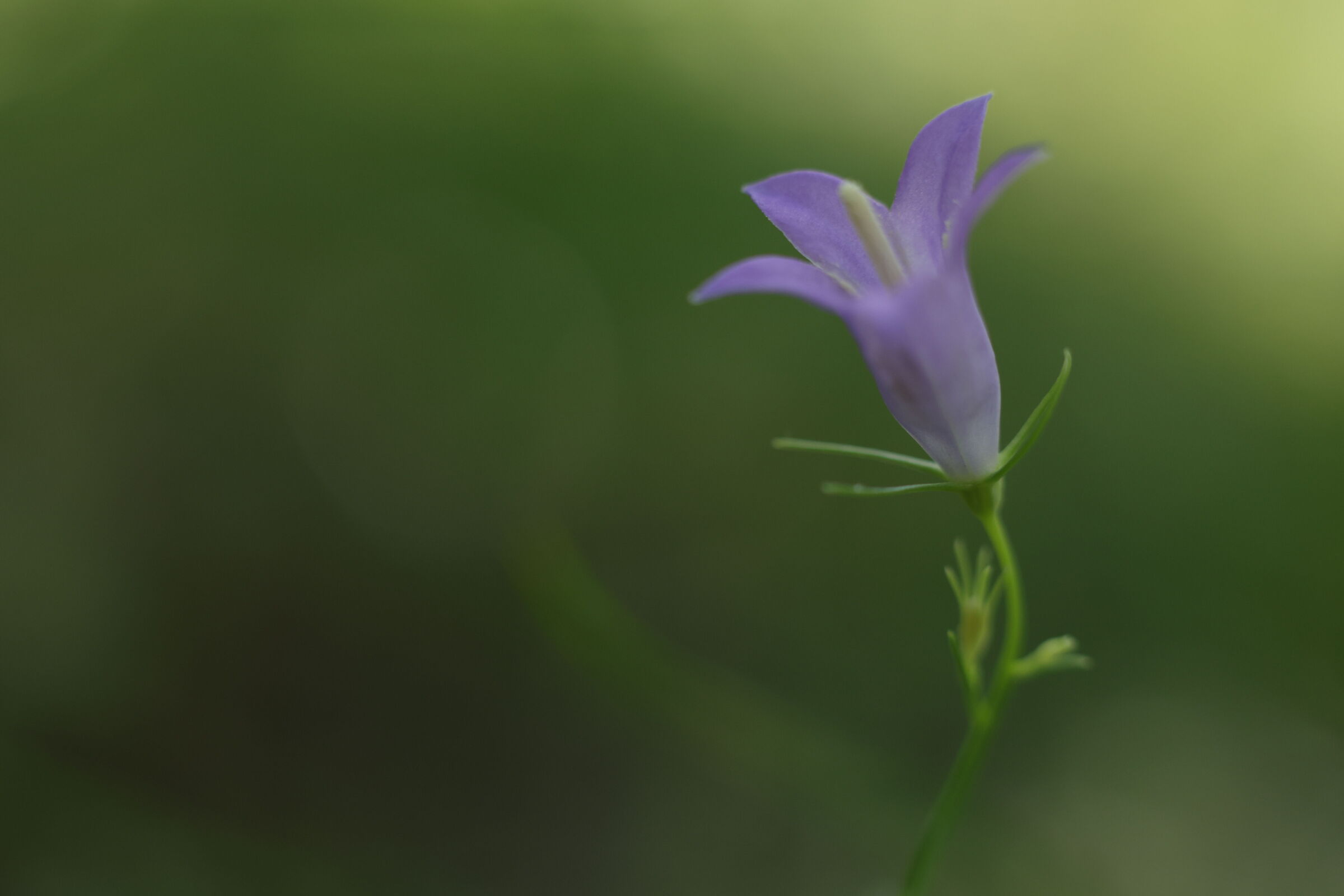 Untitled Photo