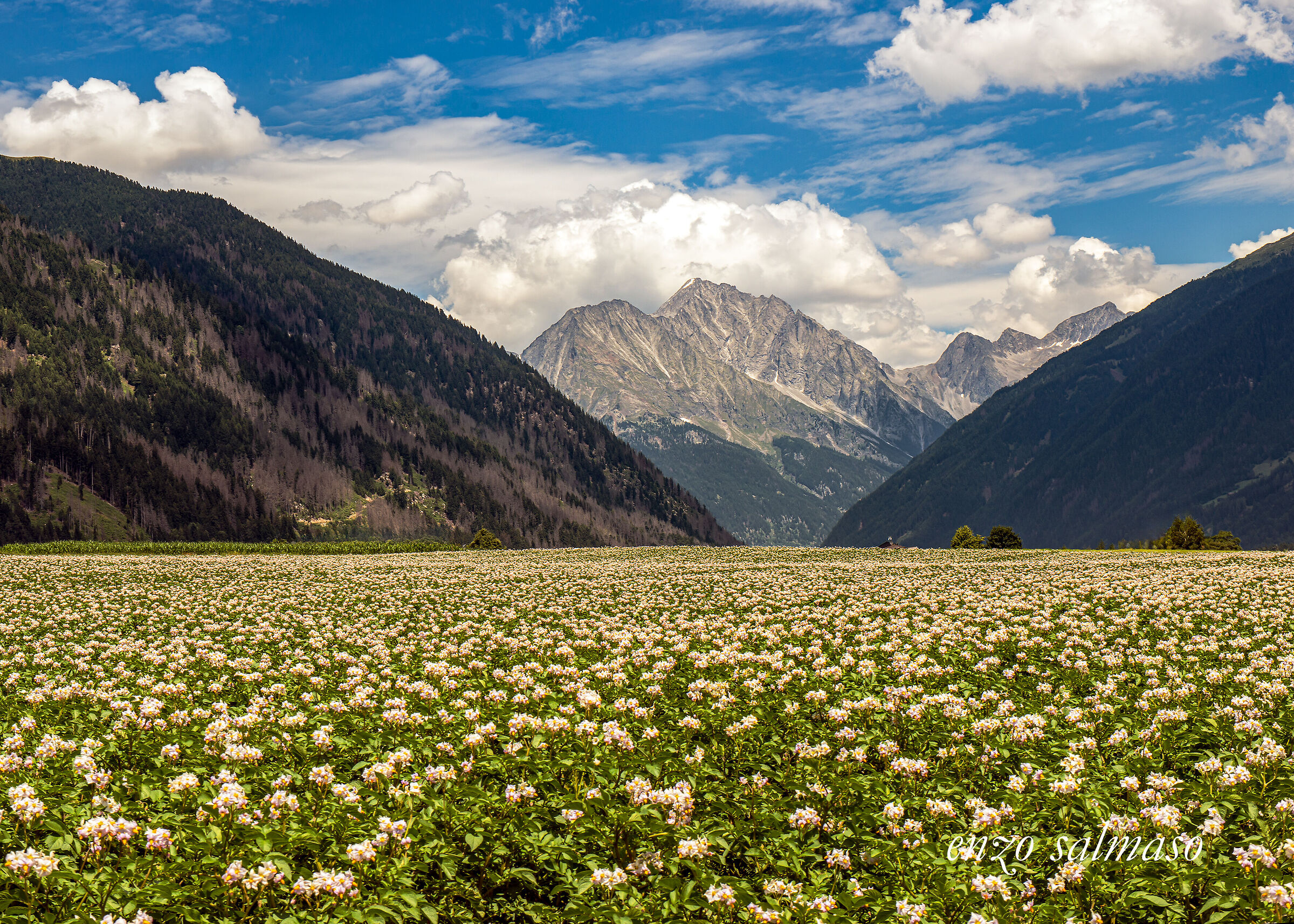 Passo Stalle da Anterselva