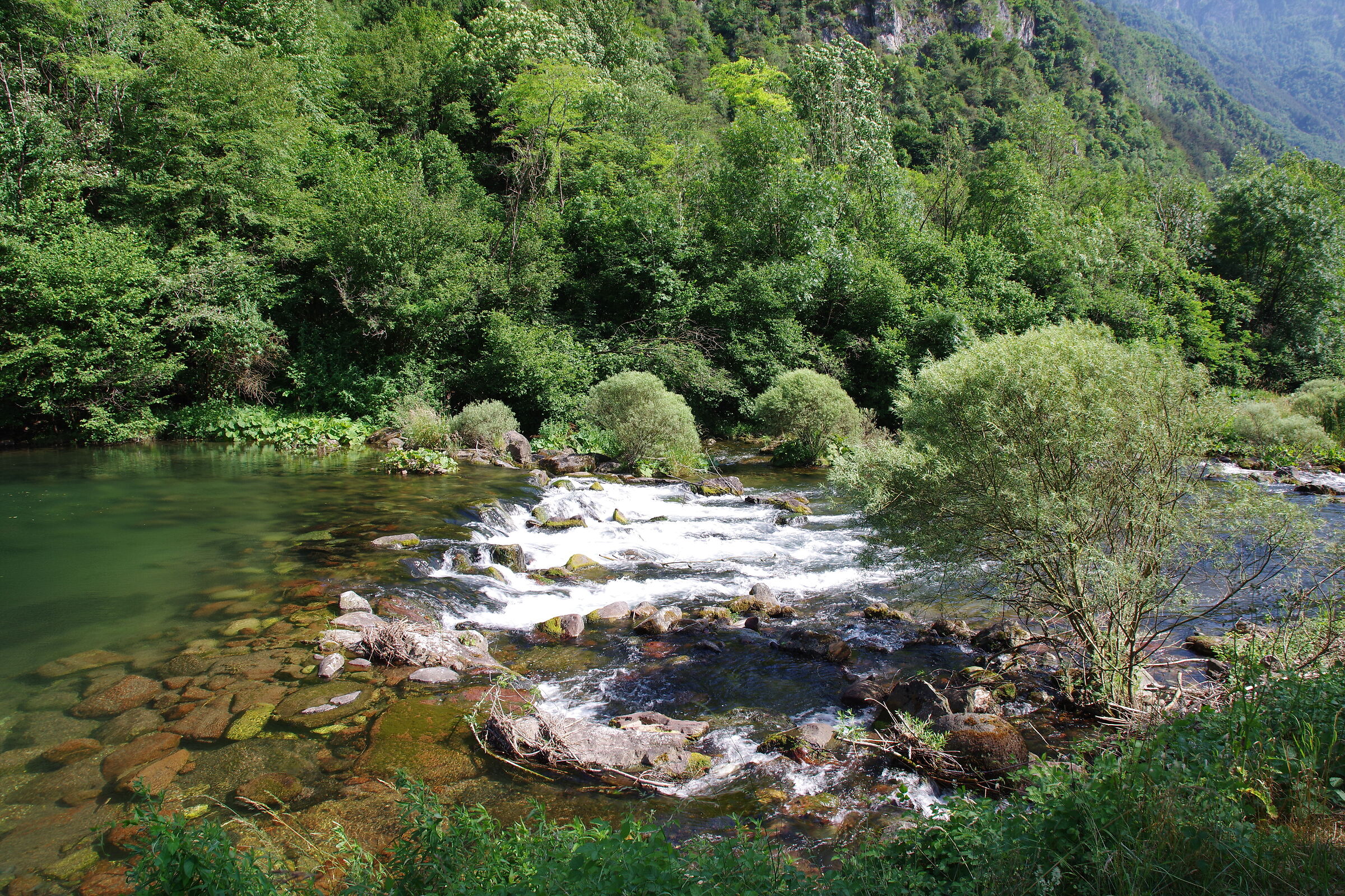 Chiese River