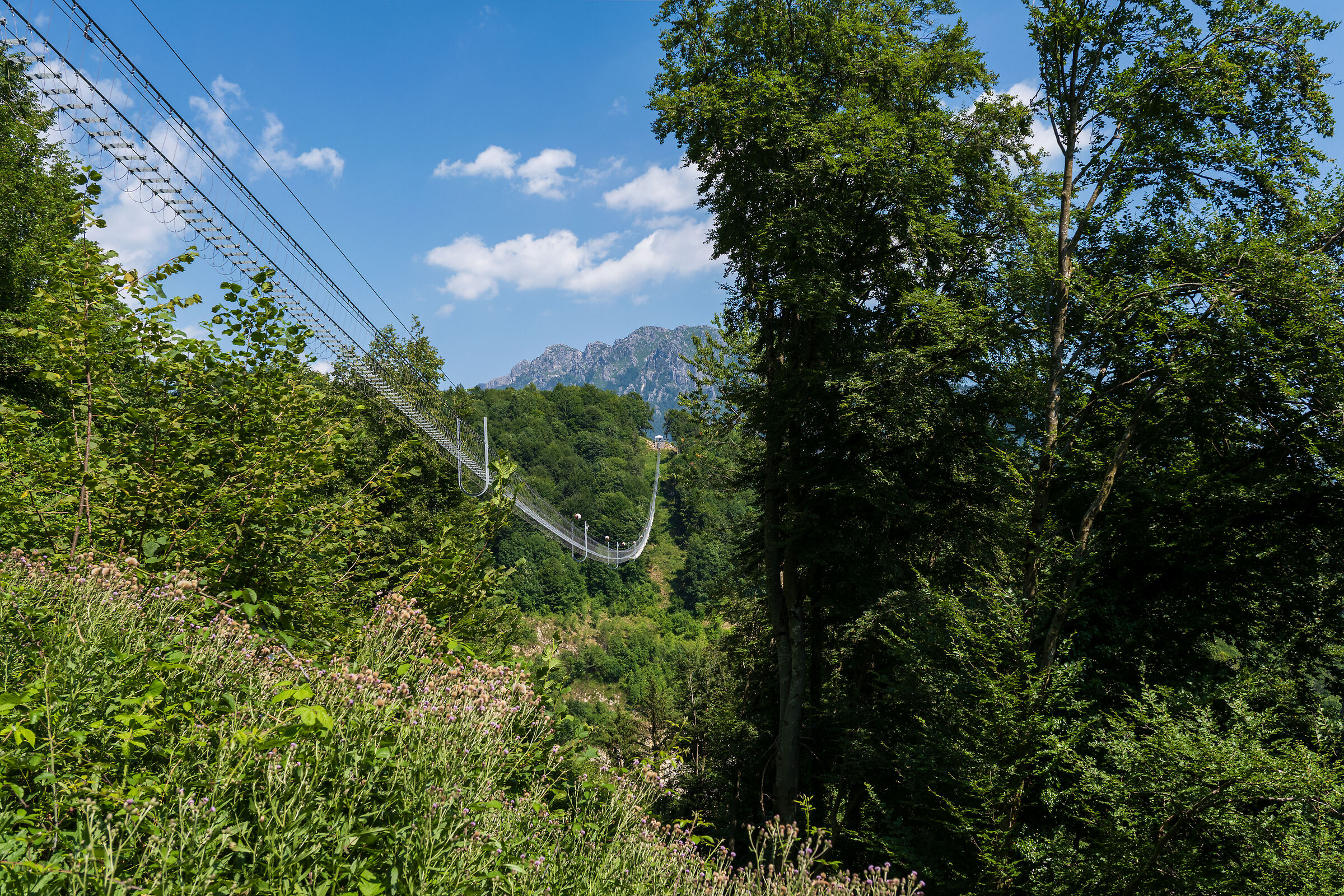 Tibetan Bridge - San Pellegrino
