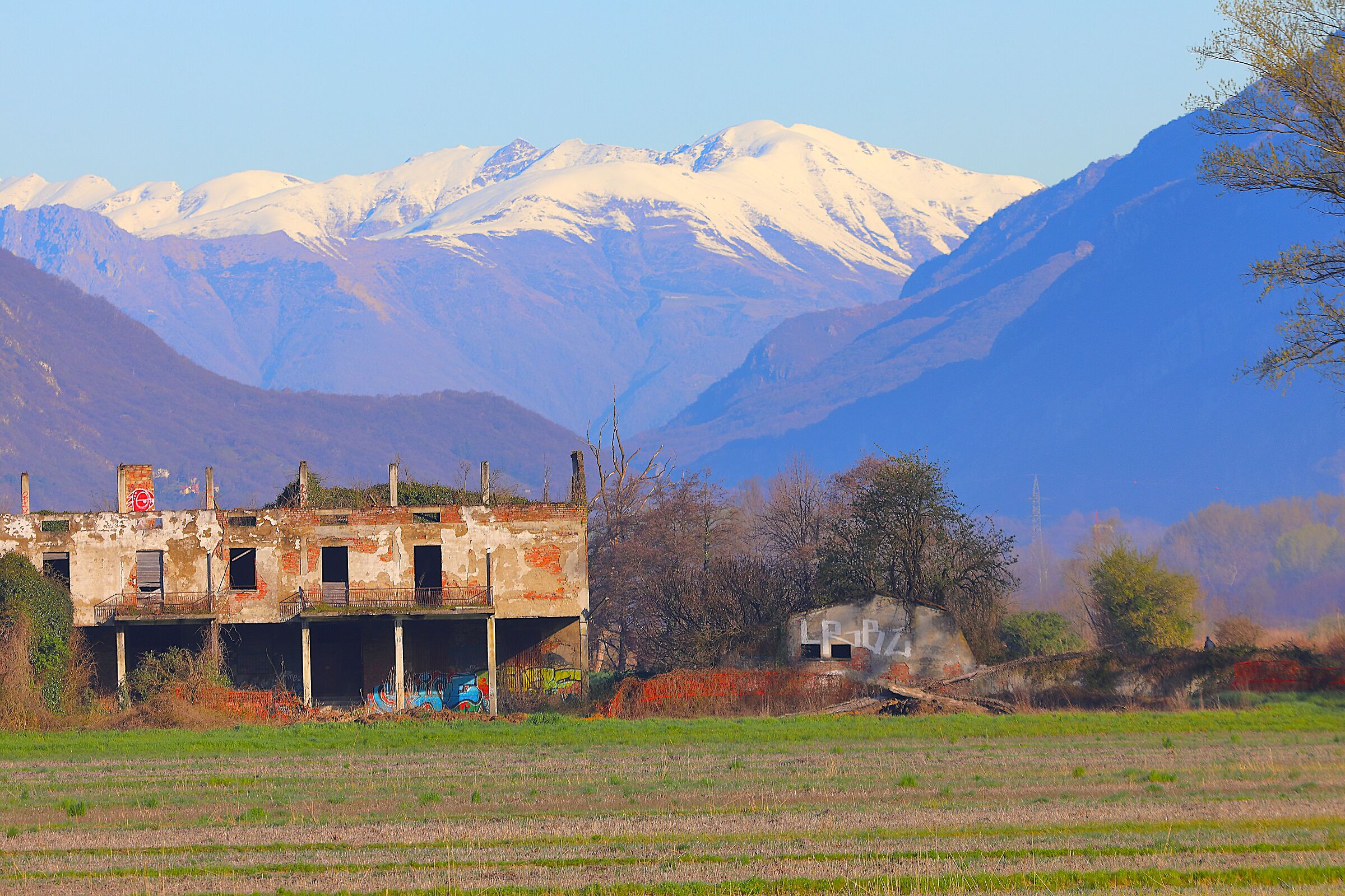 Rudere 27 marzo 2025 - 0046