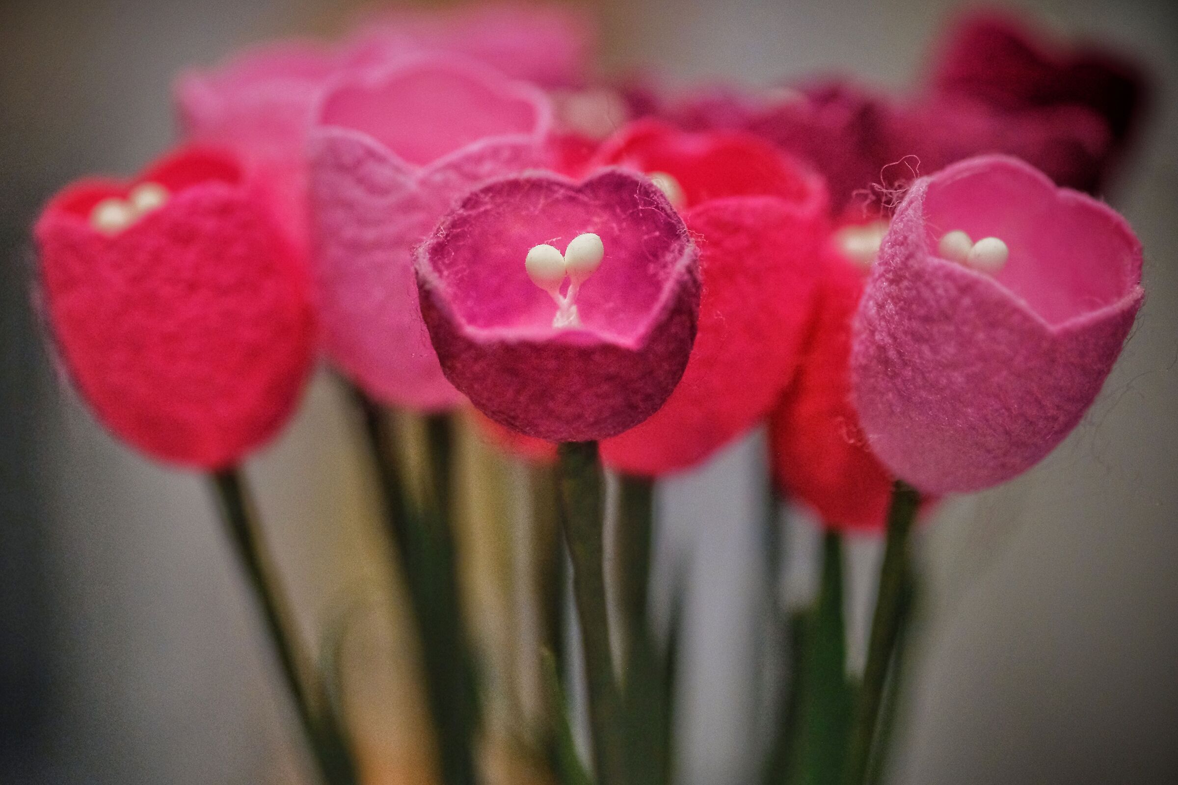 Quando è il bruco che crea il fiore