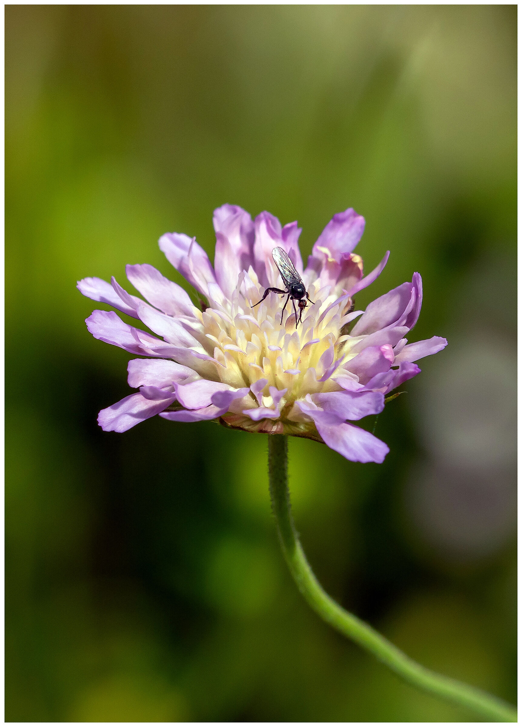 The world of children...