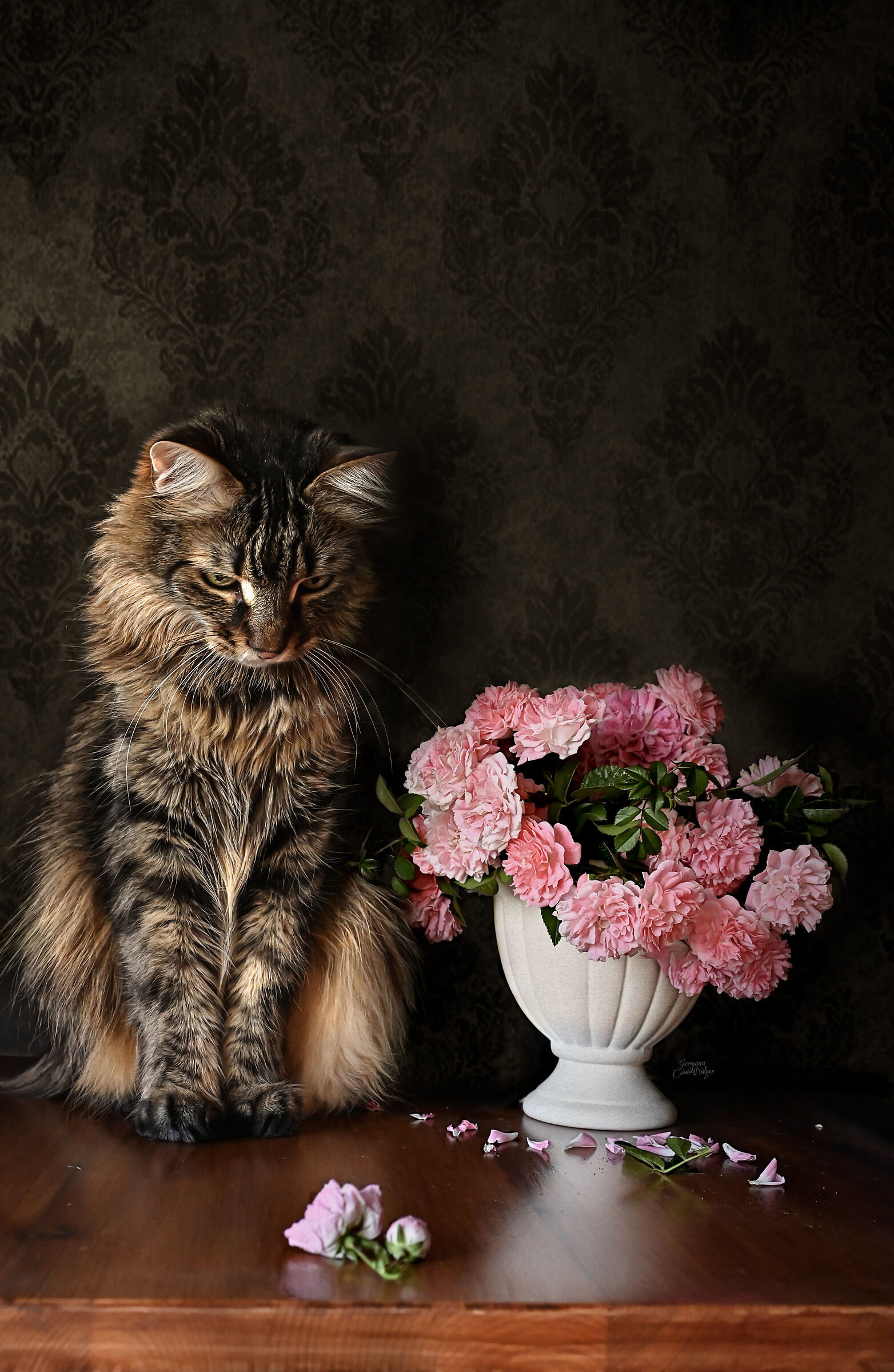 Leo e la rosa fuori posto