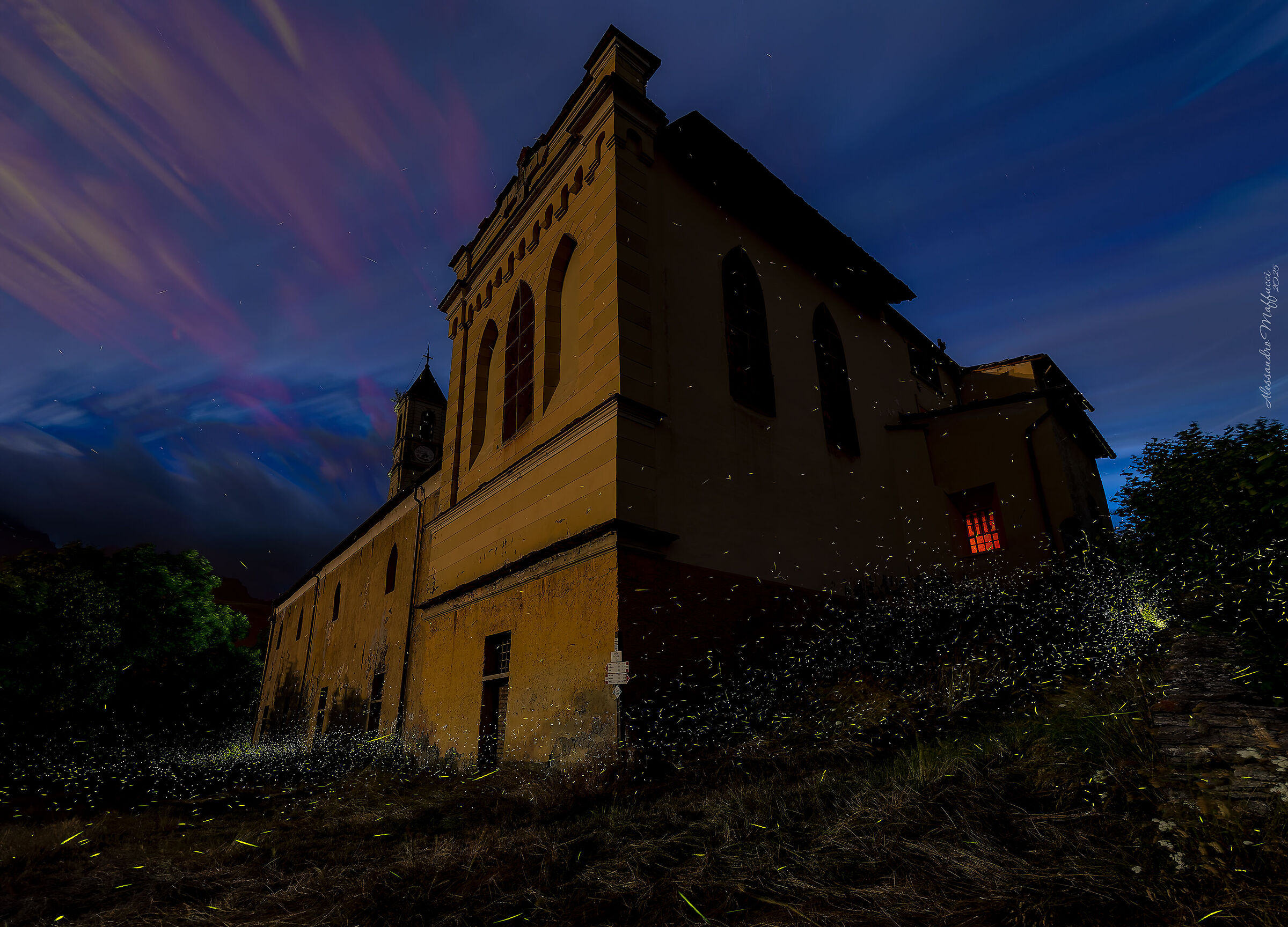 The magic of fireflies...