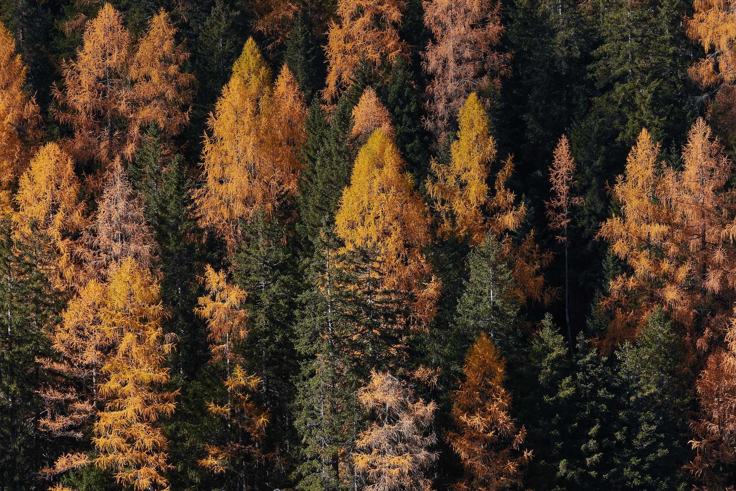 Colours from the Dolomites*
