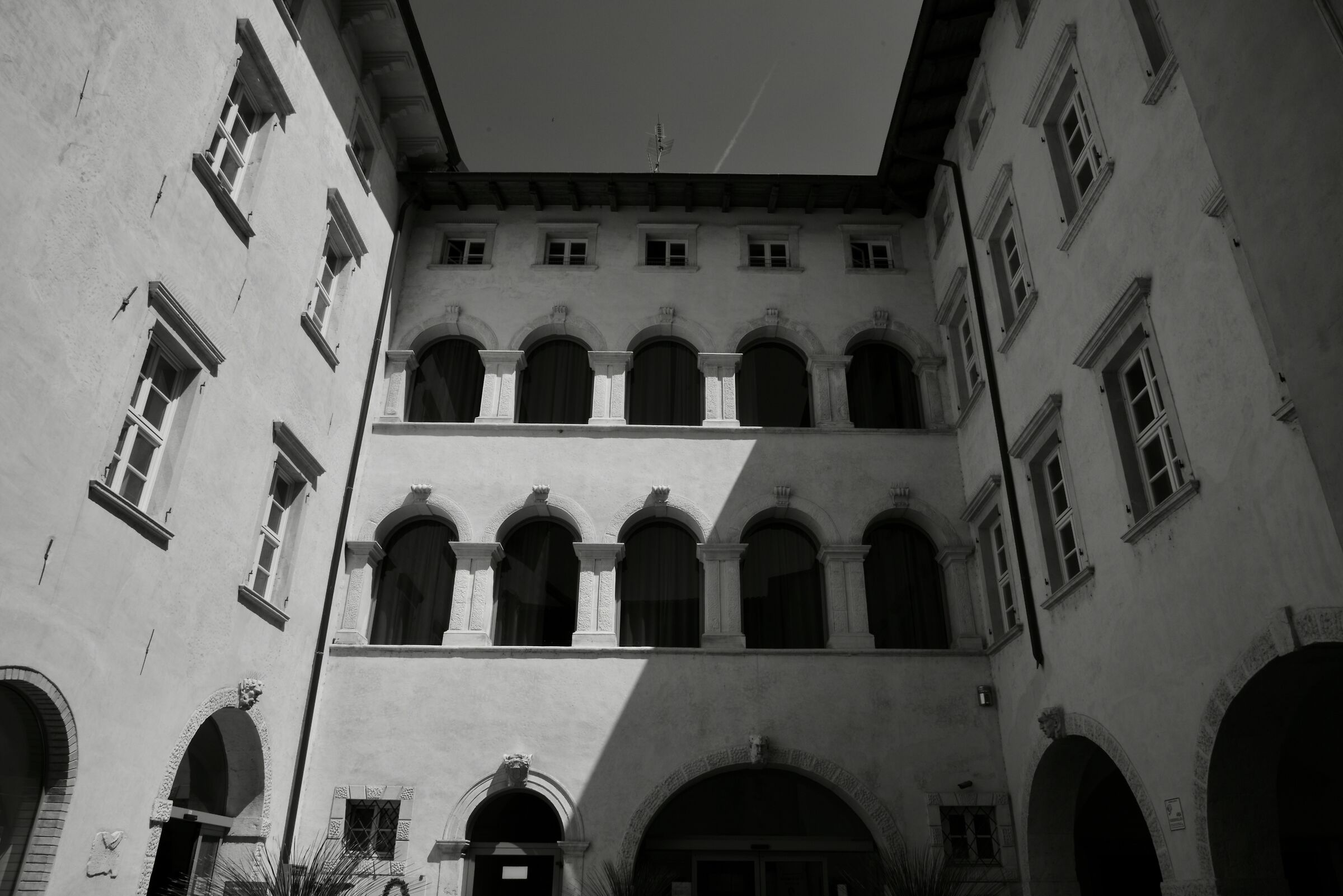 Untitled Photo