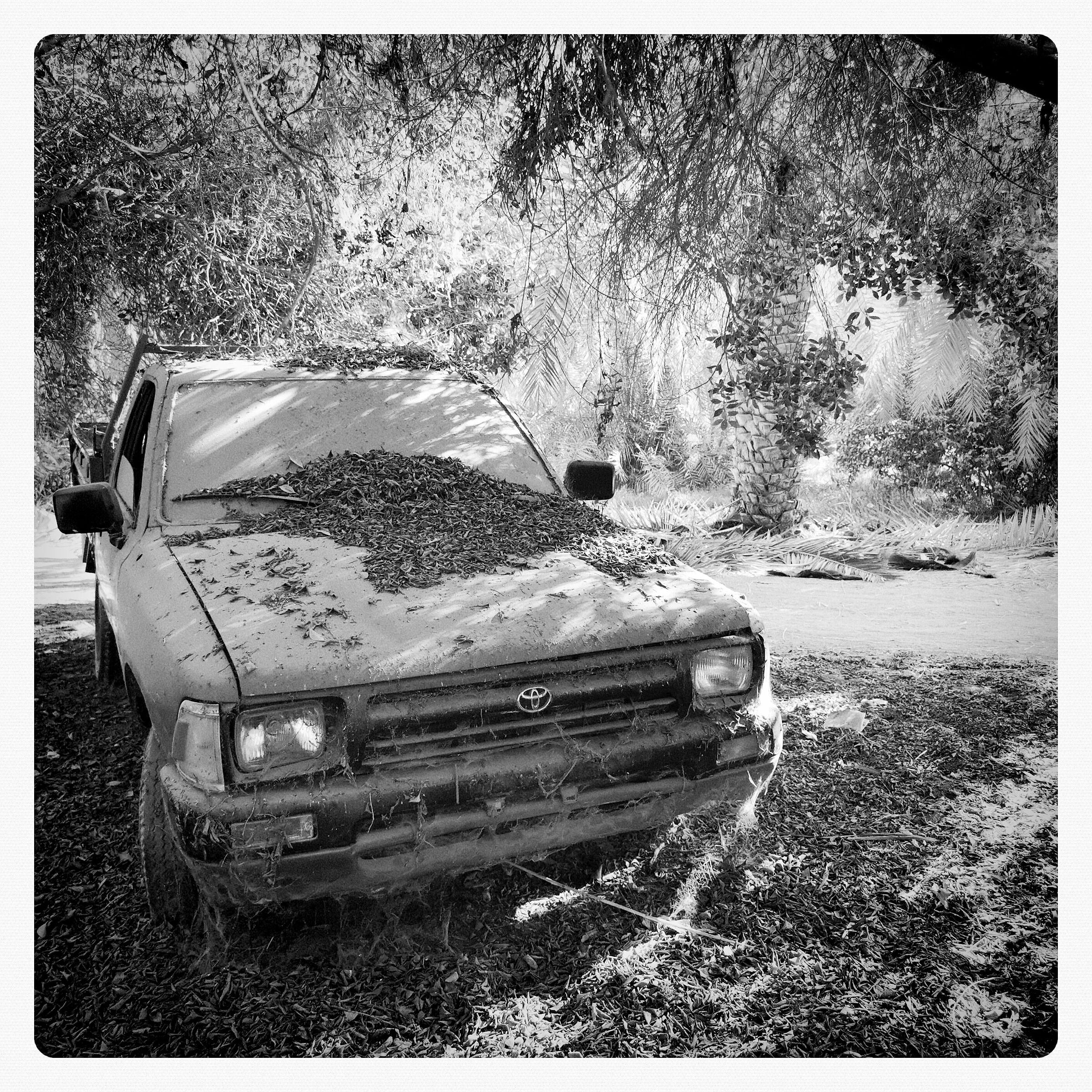 E funziona ancora !!