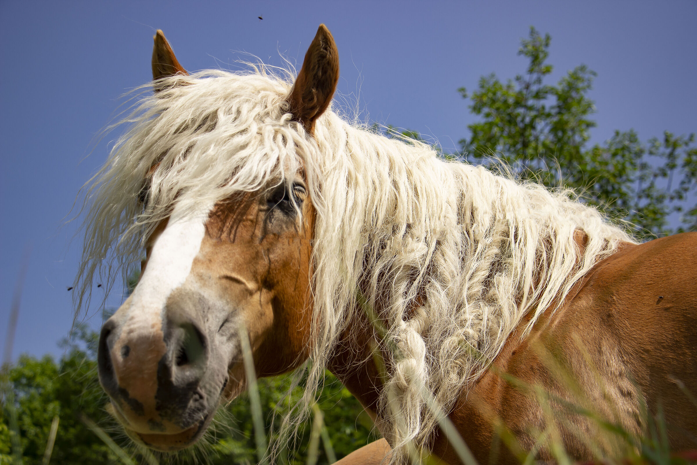 friend for a few moments