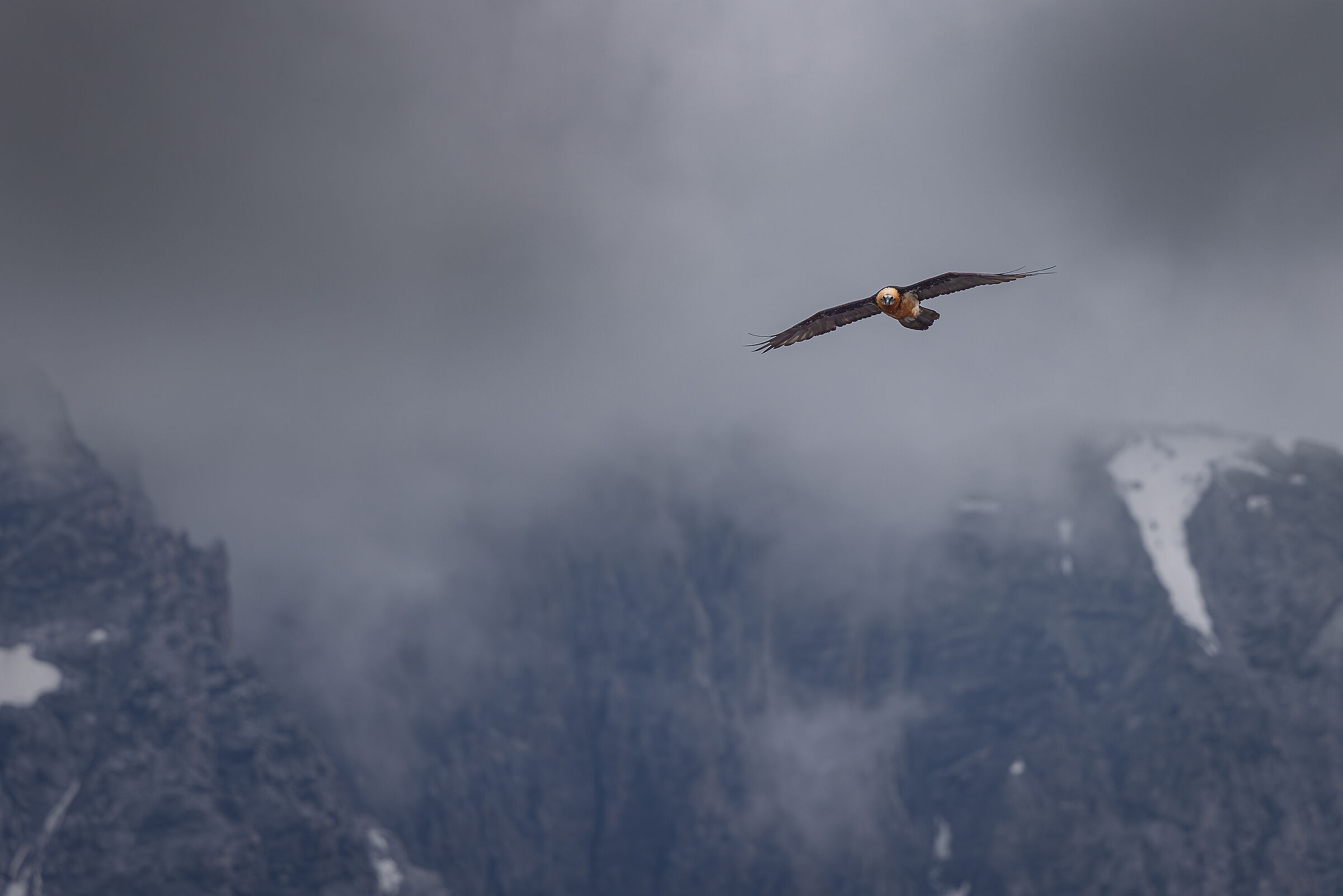 Prima della tempesta