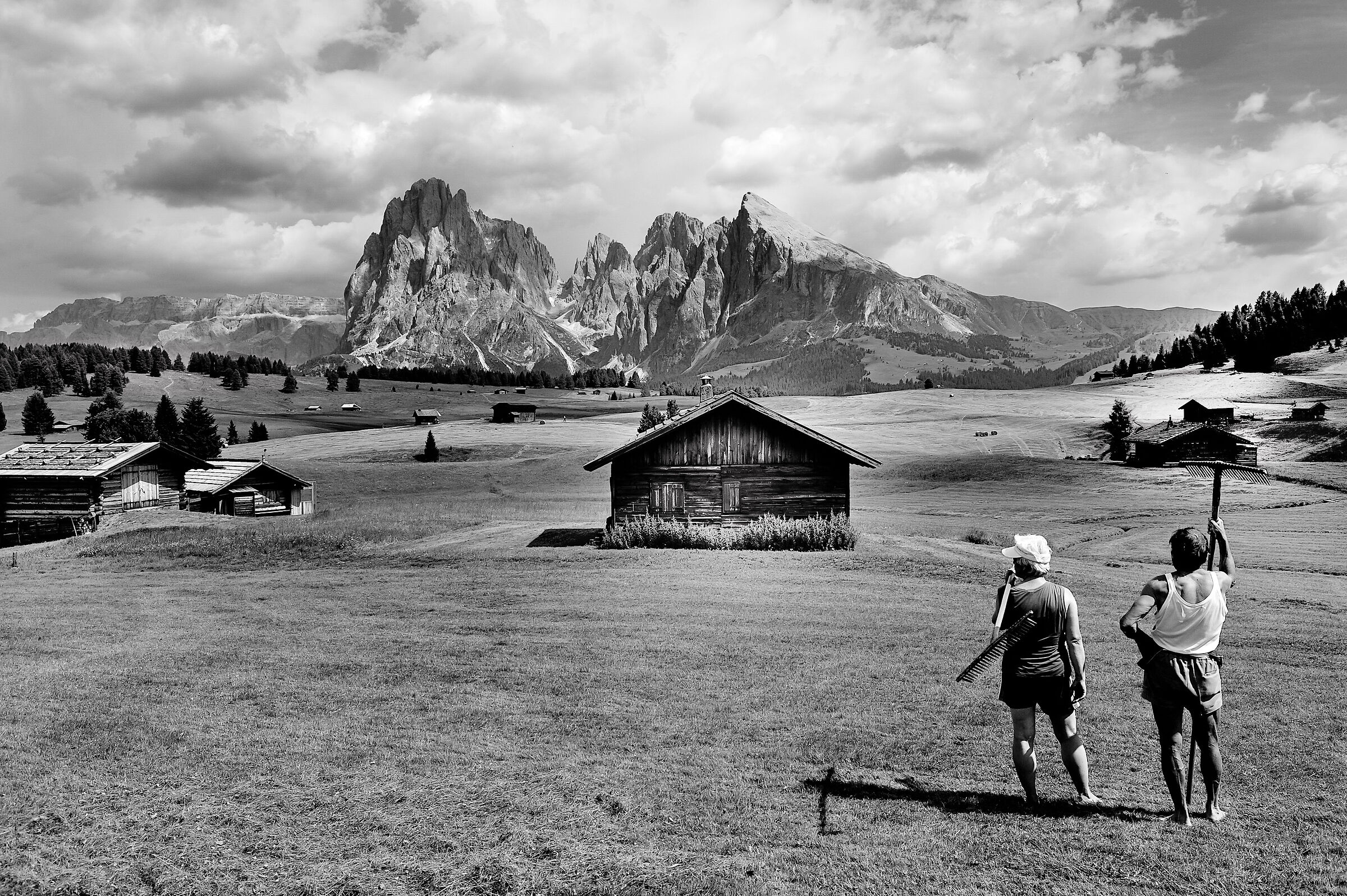 Val Gardena-Alpe di Siusi