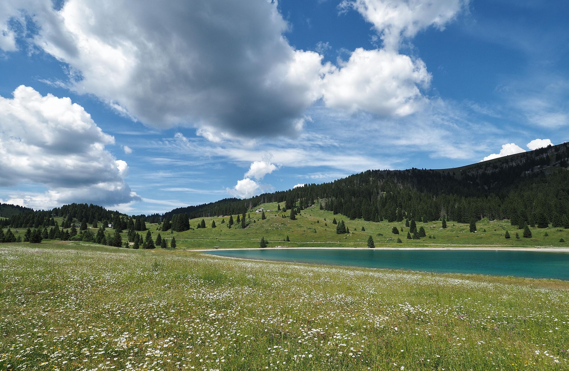 Passo Coe (Folgaria)
