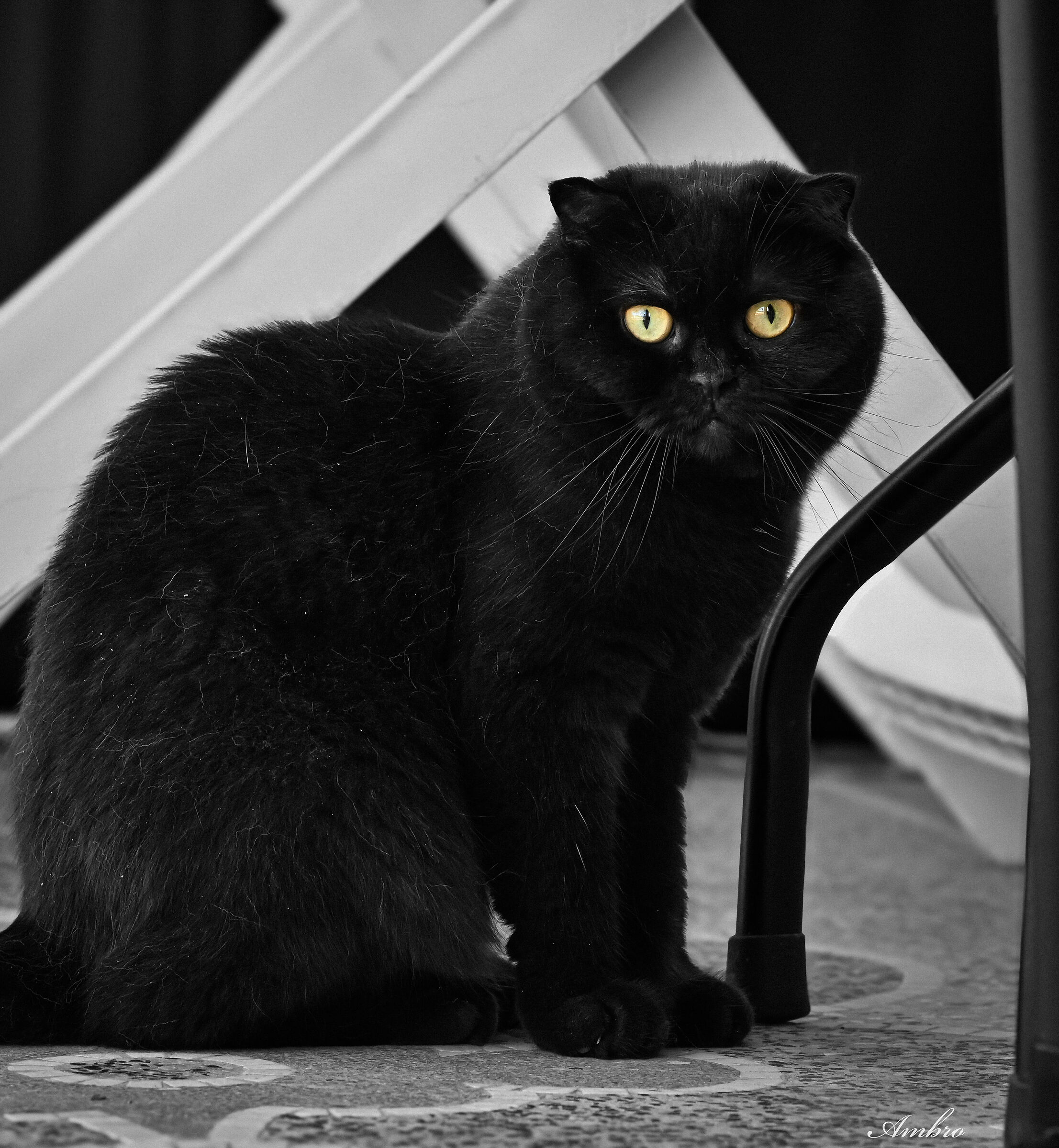 Freya