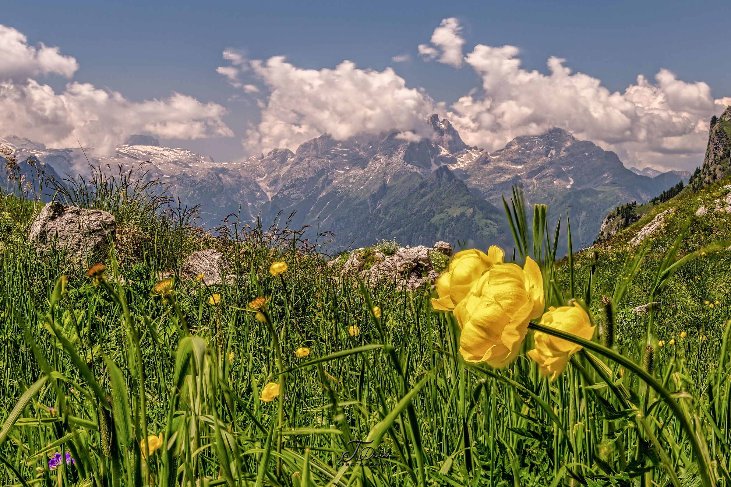 The Pale di San Martino and the Botton d'Oro