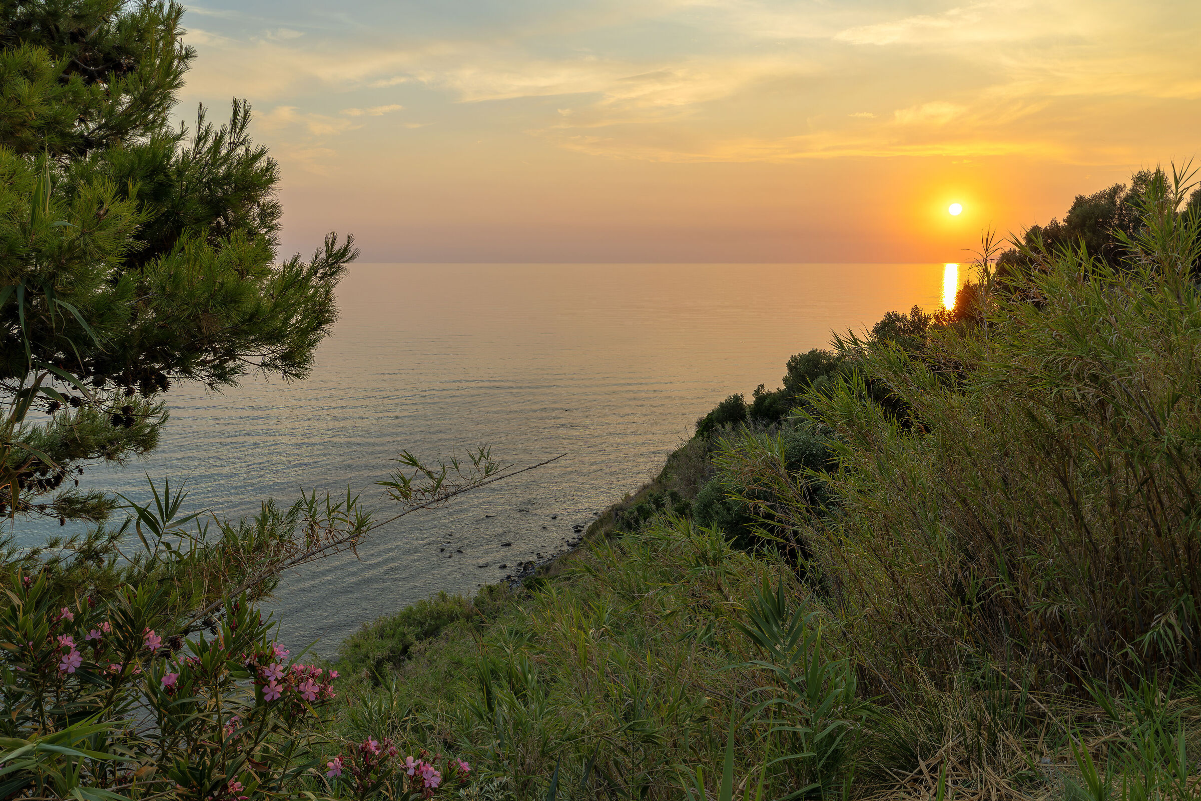 Sunset