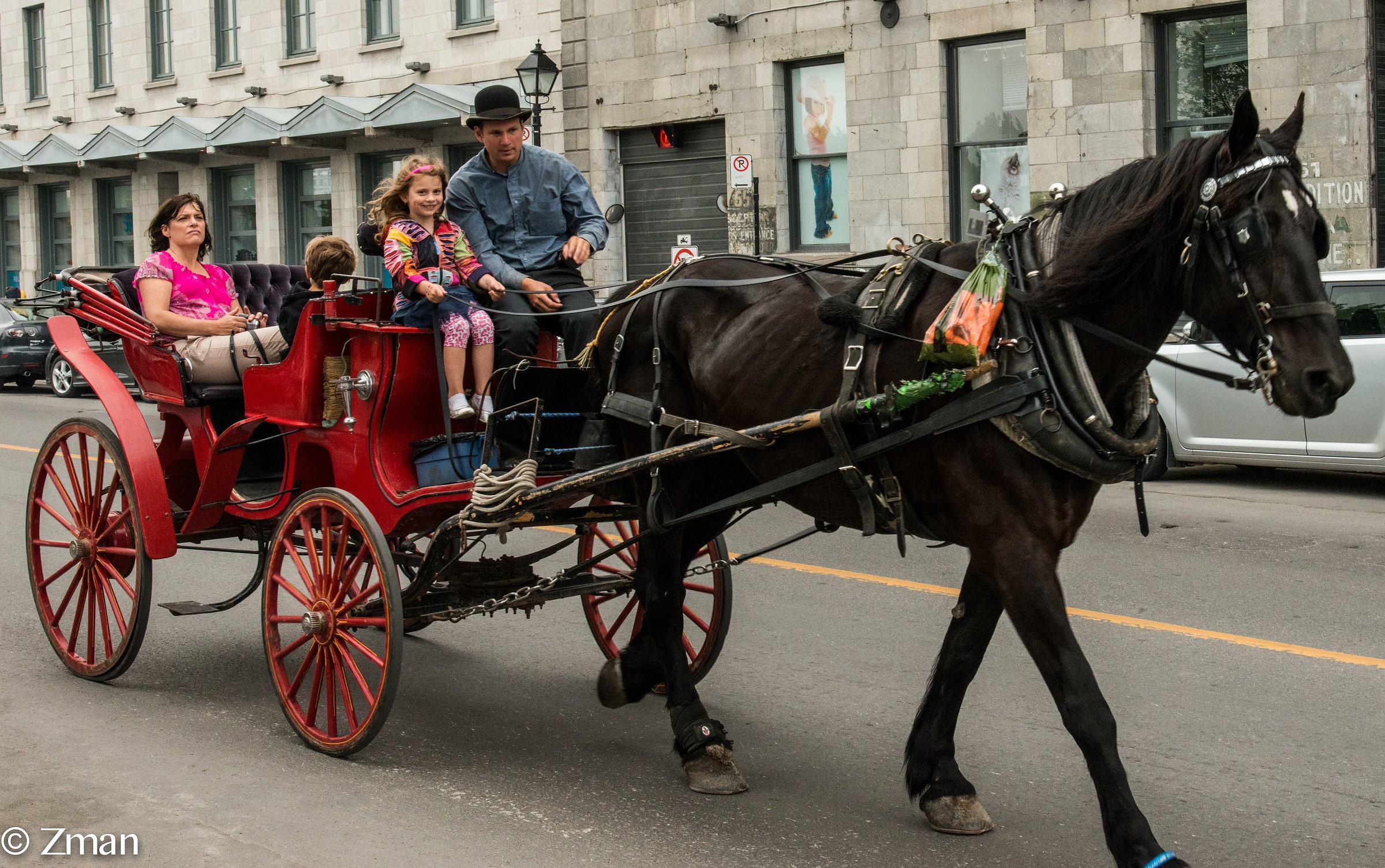Ragazza Imparare a guidare un cavallo Drown Carriage