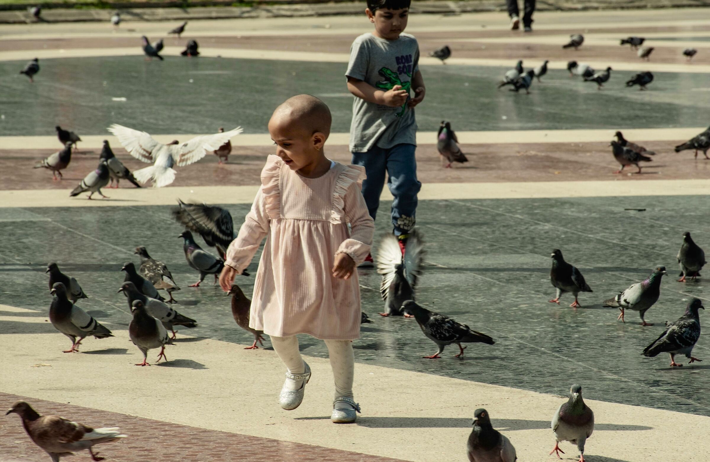 Harmony, play, happiness