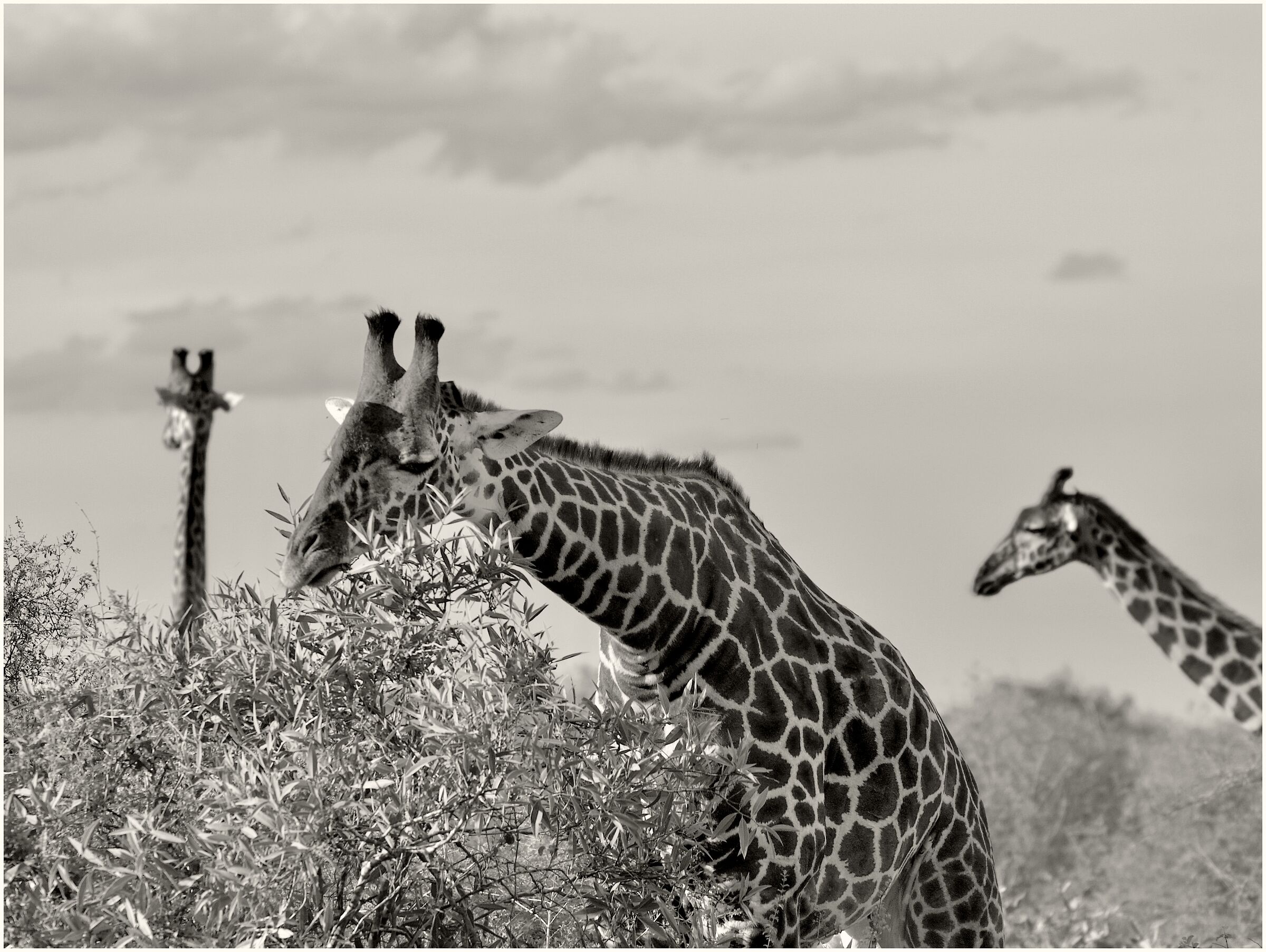 Kenya