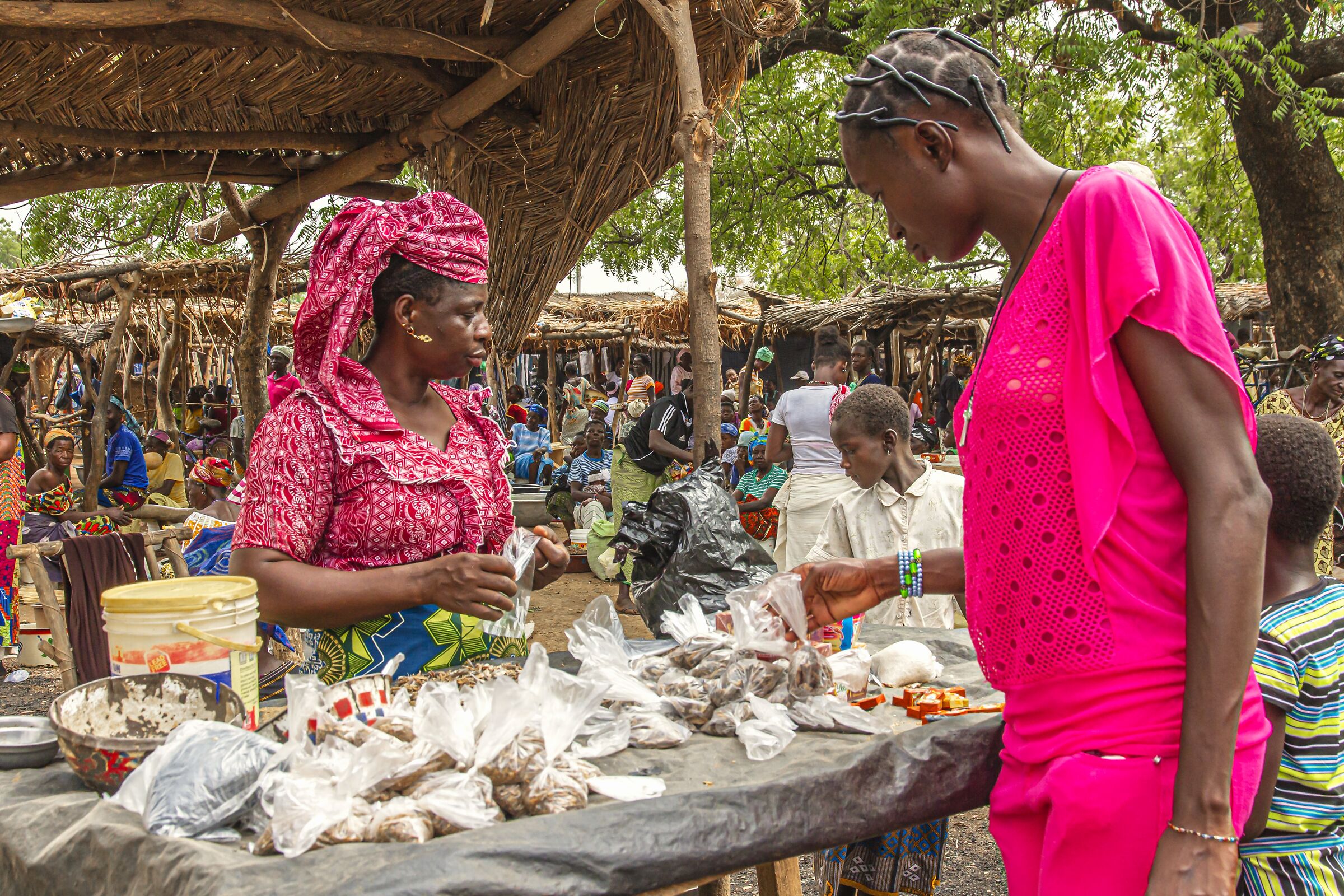 Scelta accurata - Burkina Faso