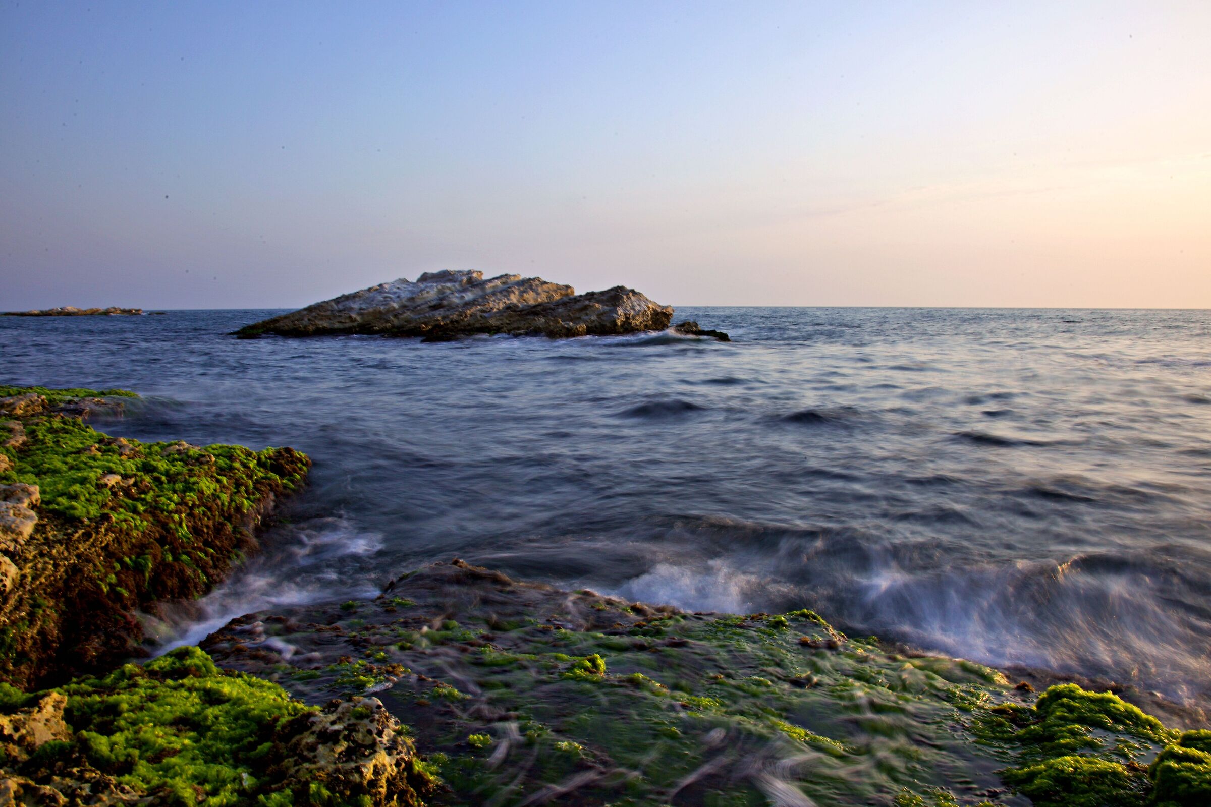 Alba riiviera del conero "Scalaccia"