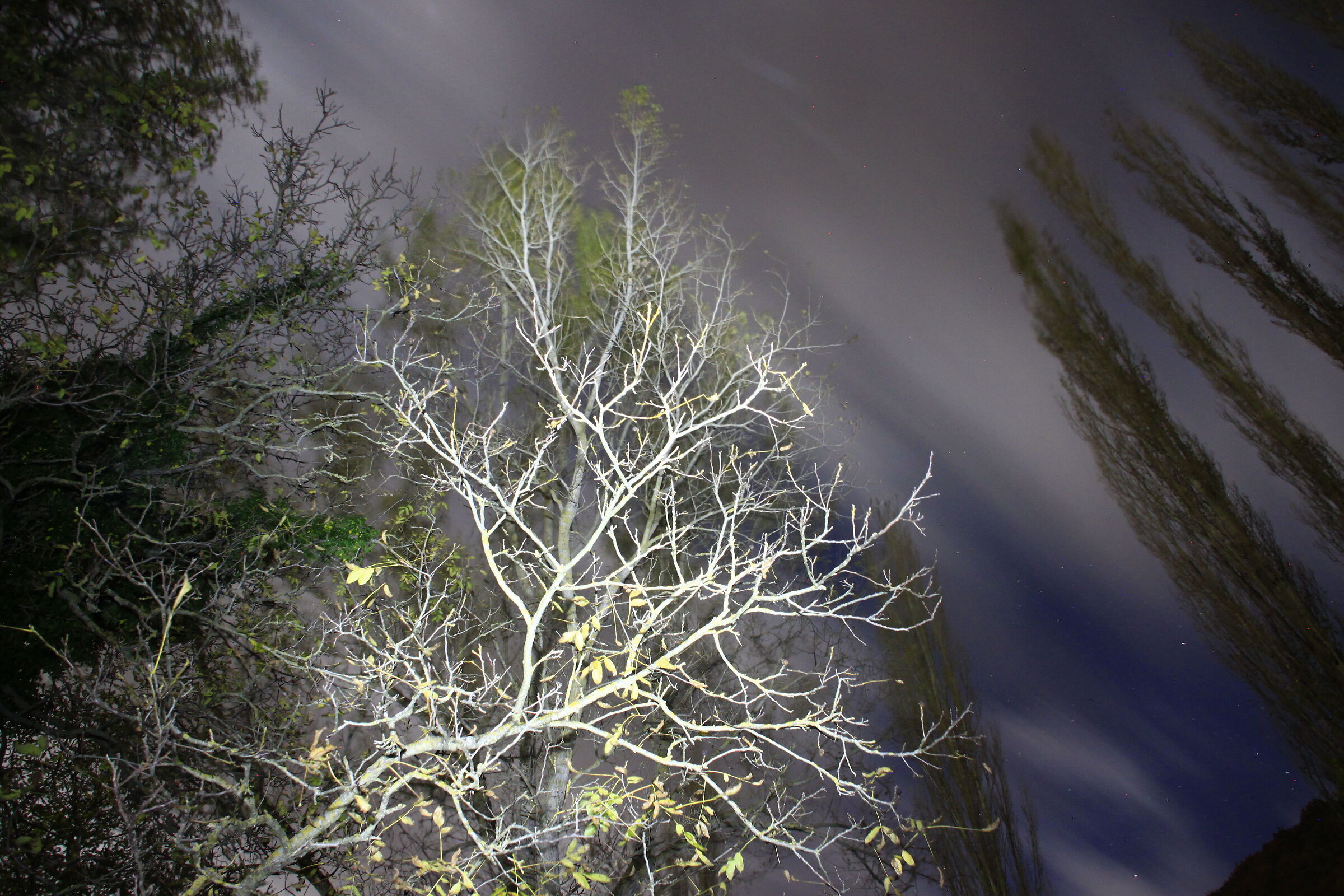 Lightpainting notturno