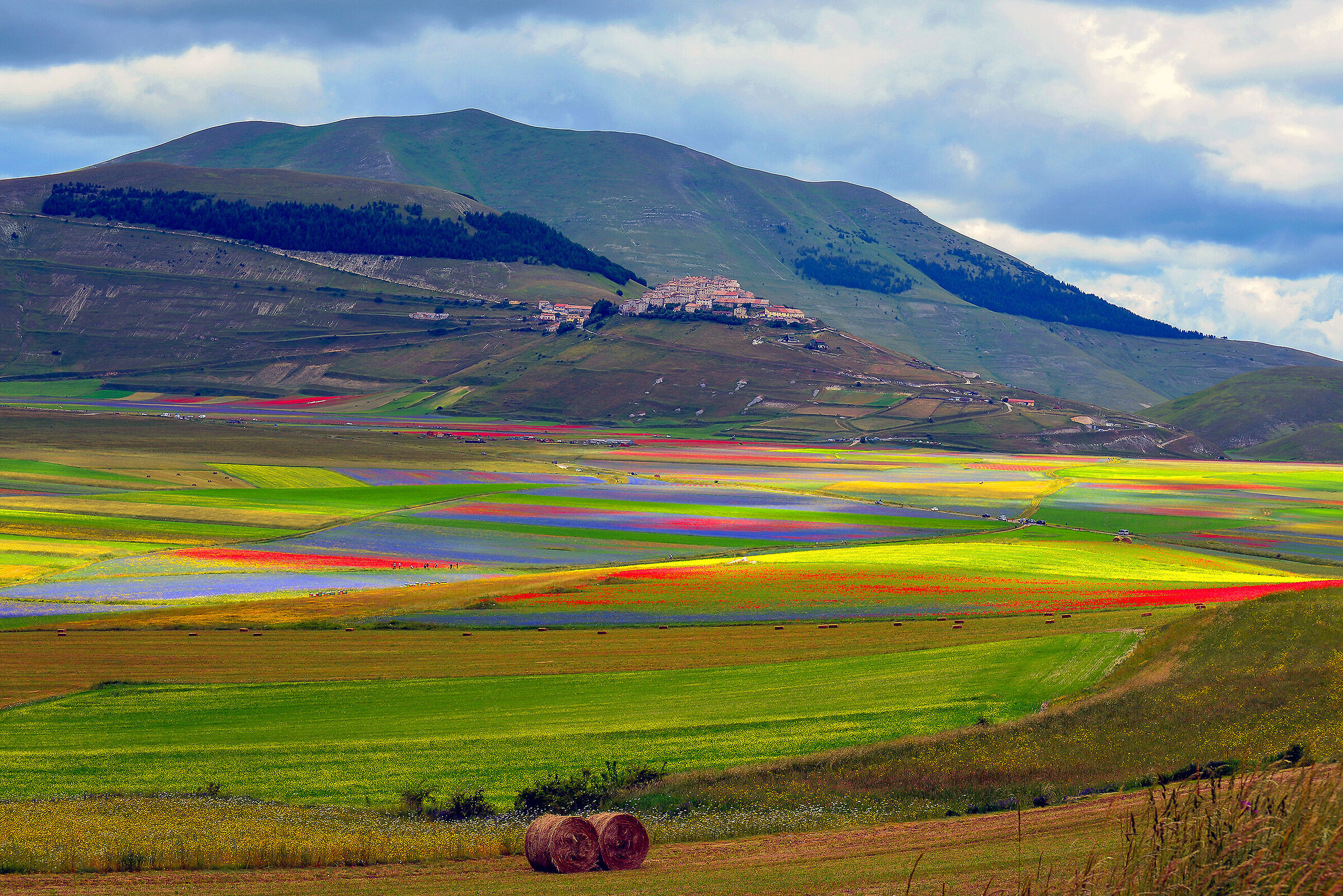 Historical flourishing in Castelluccio di Norcia
