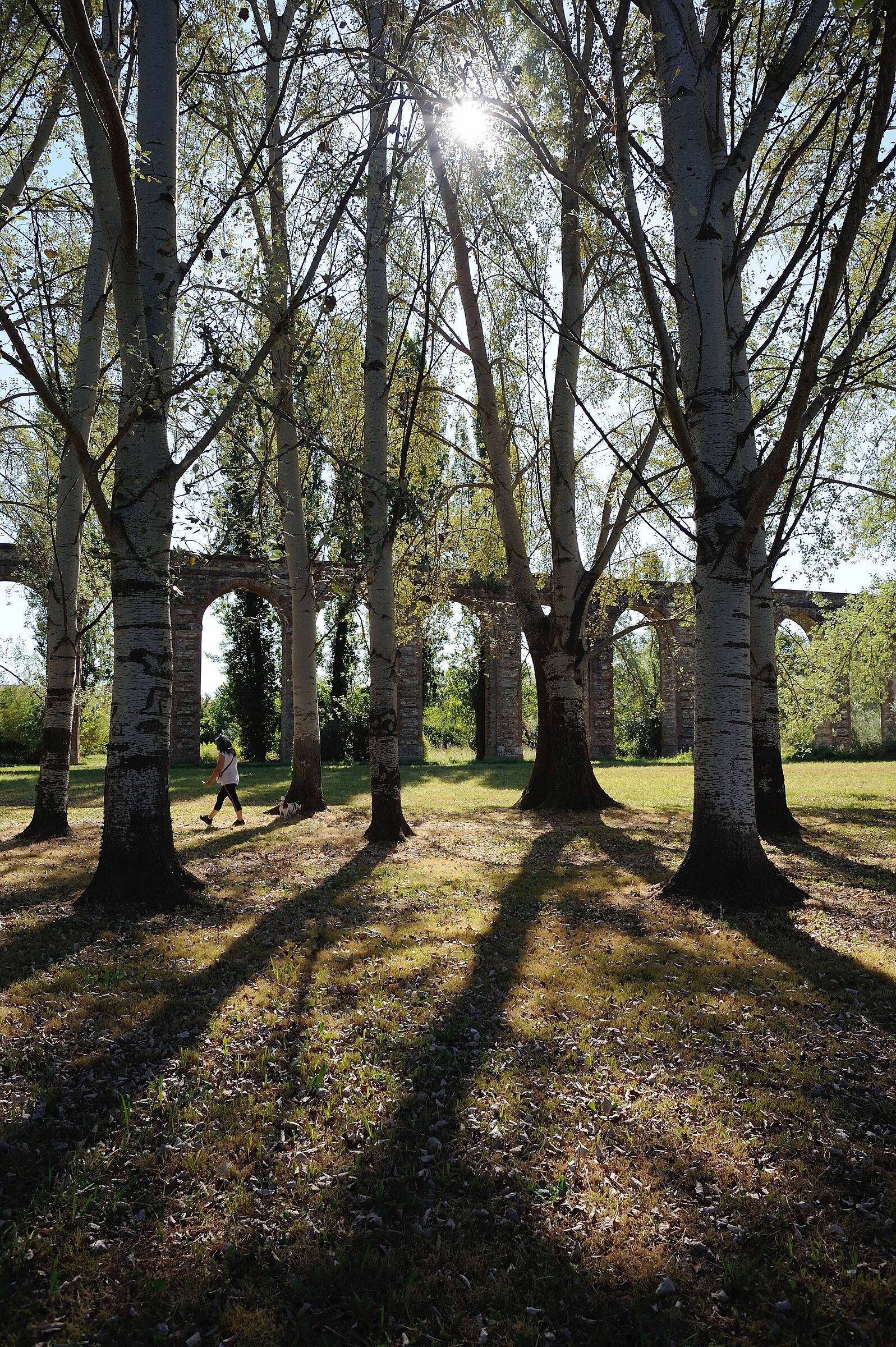 Acquedotto nottolini Lucca