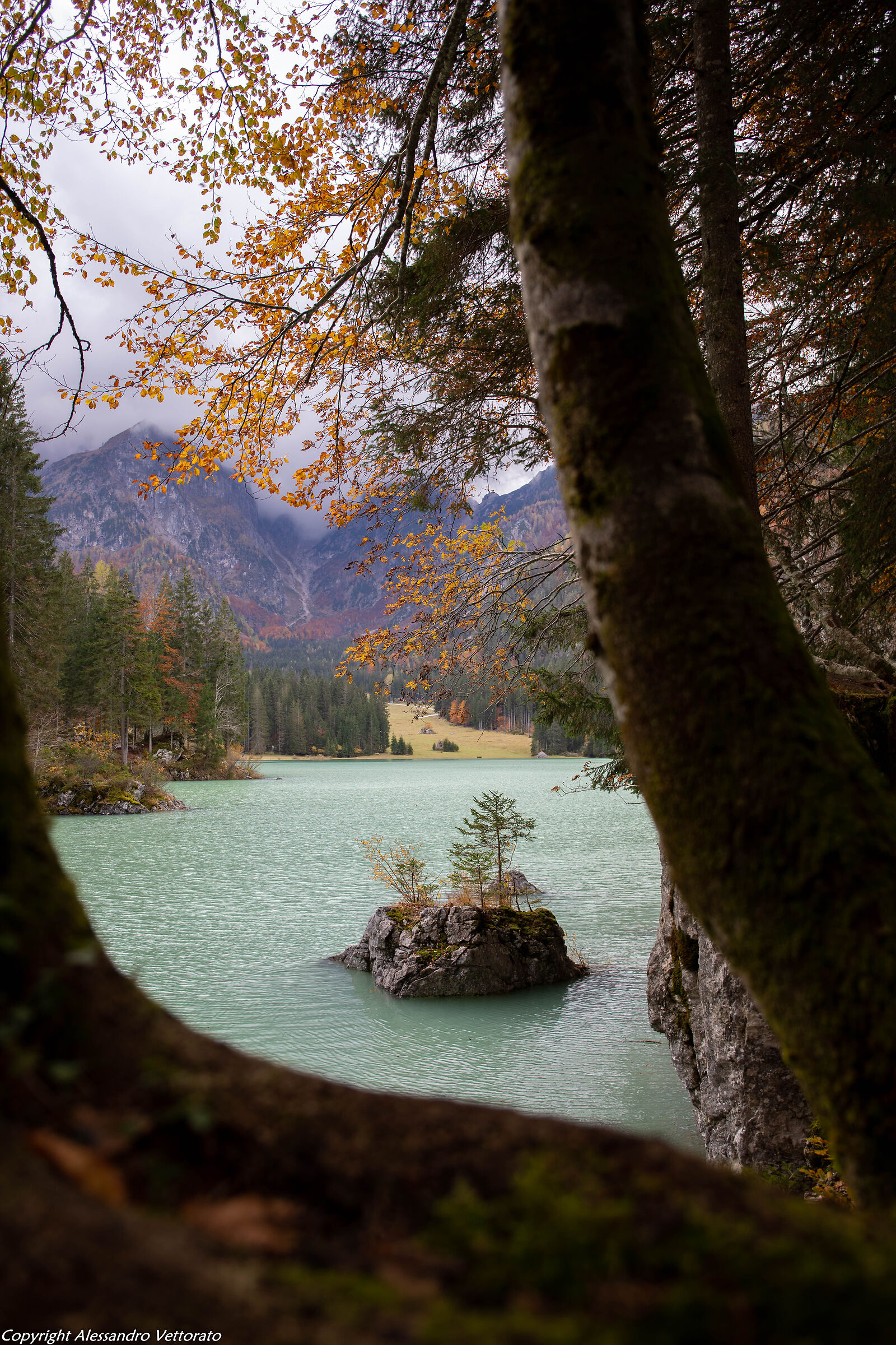 Islet