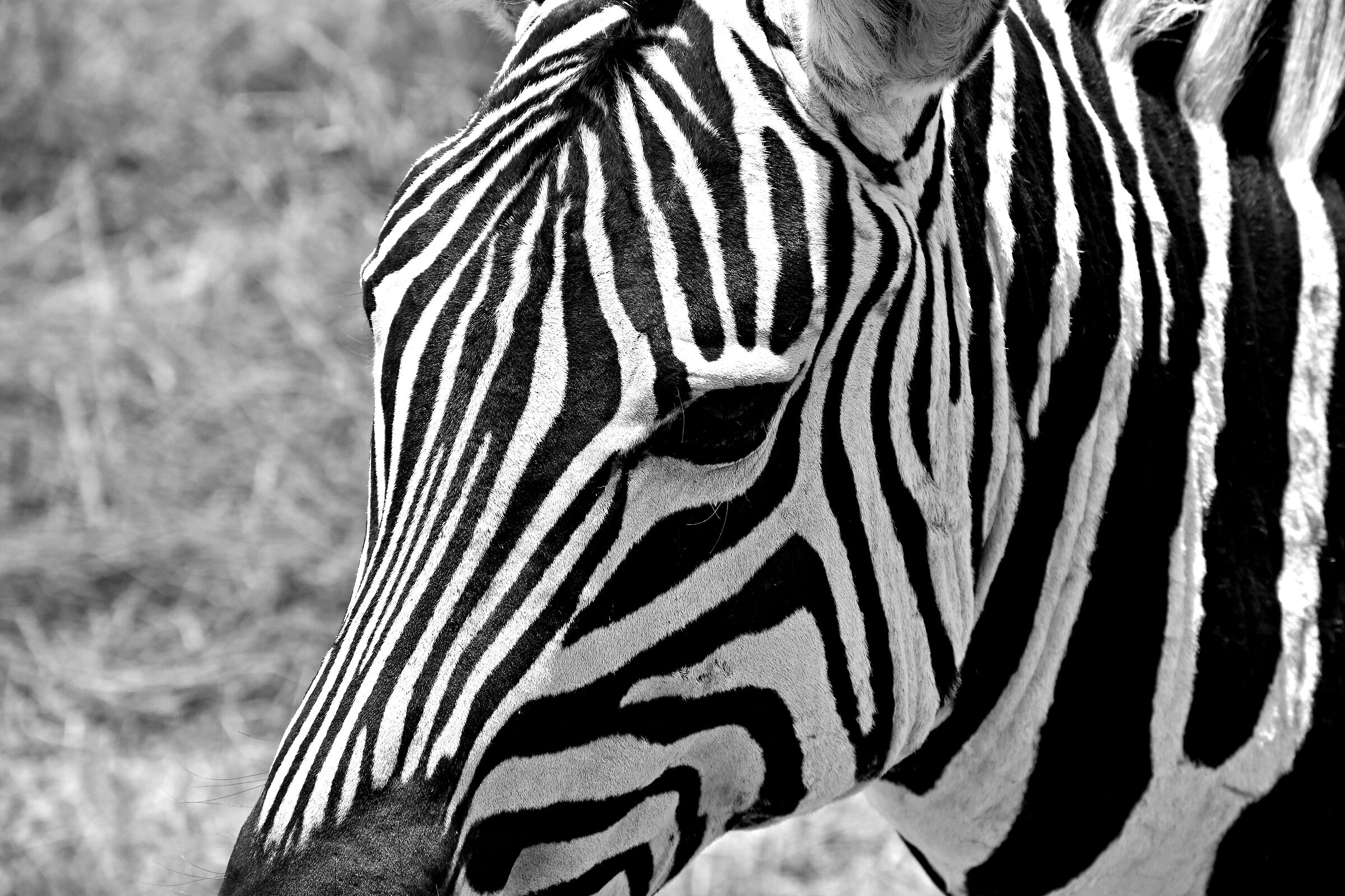 Black&White