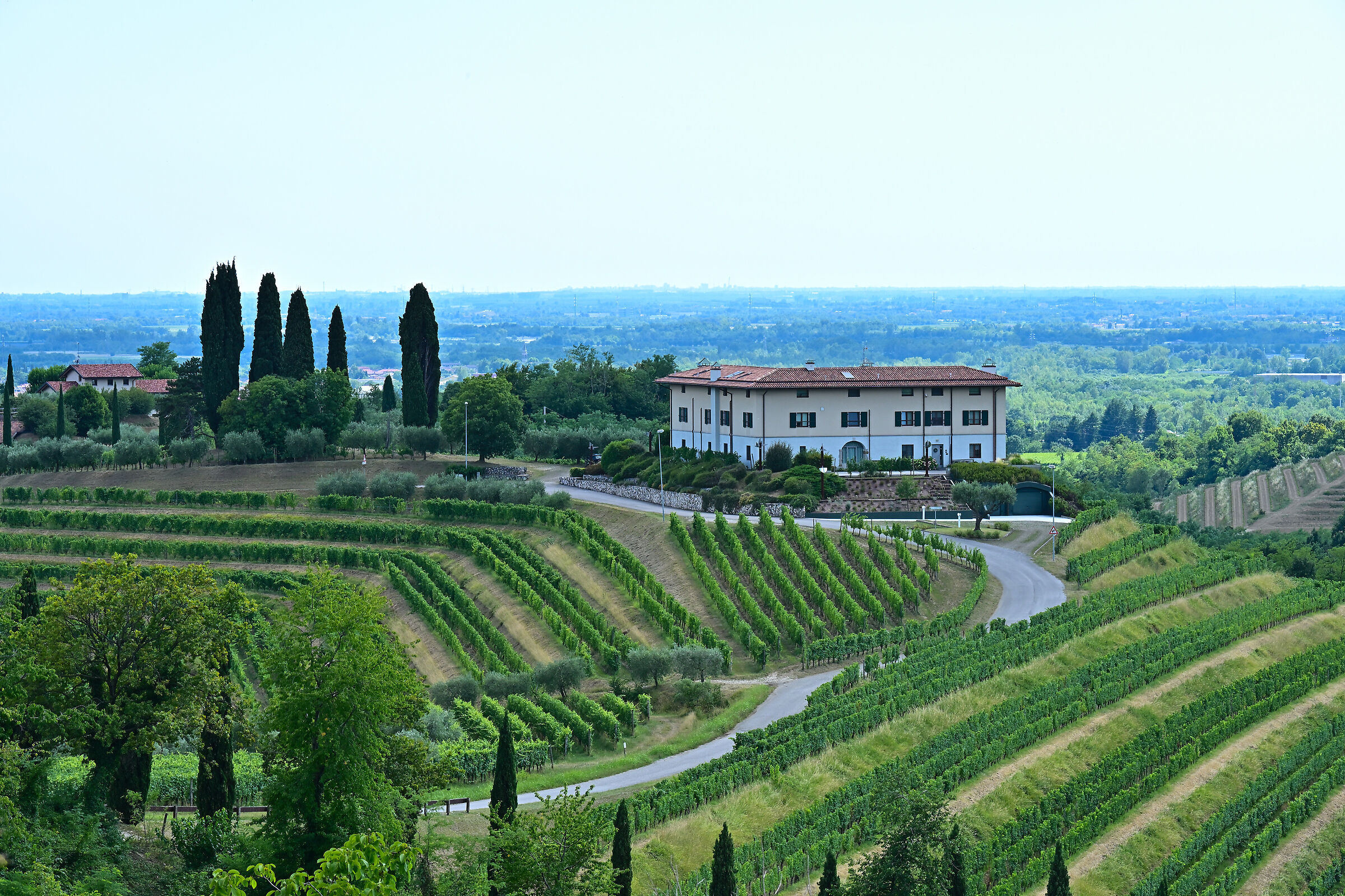 Collio