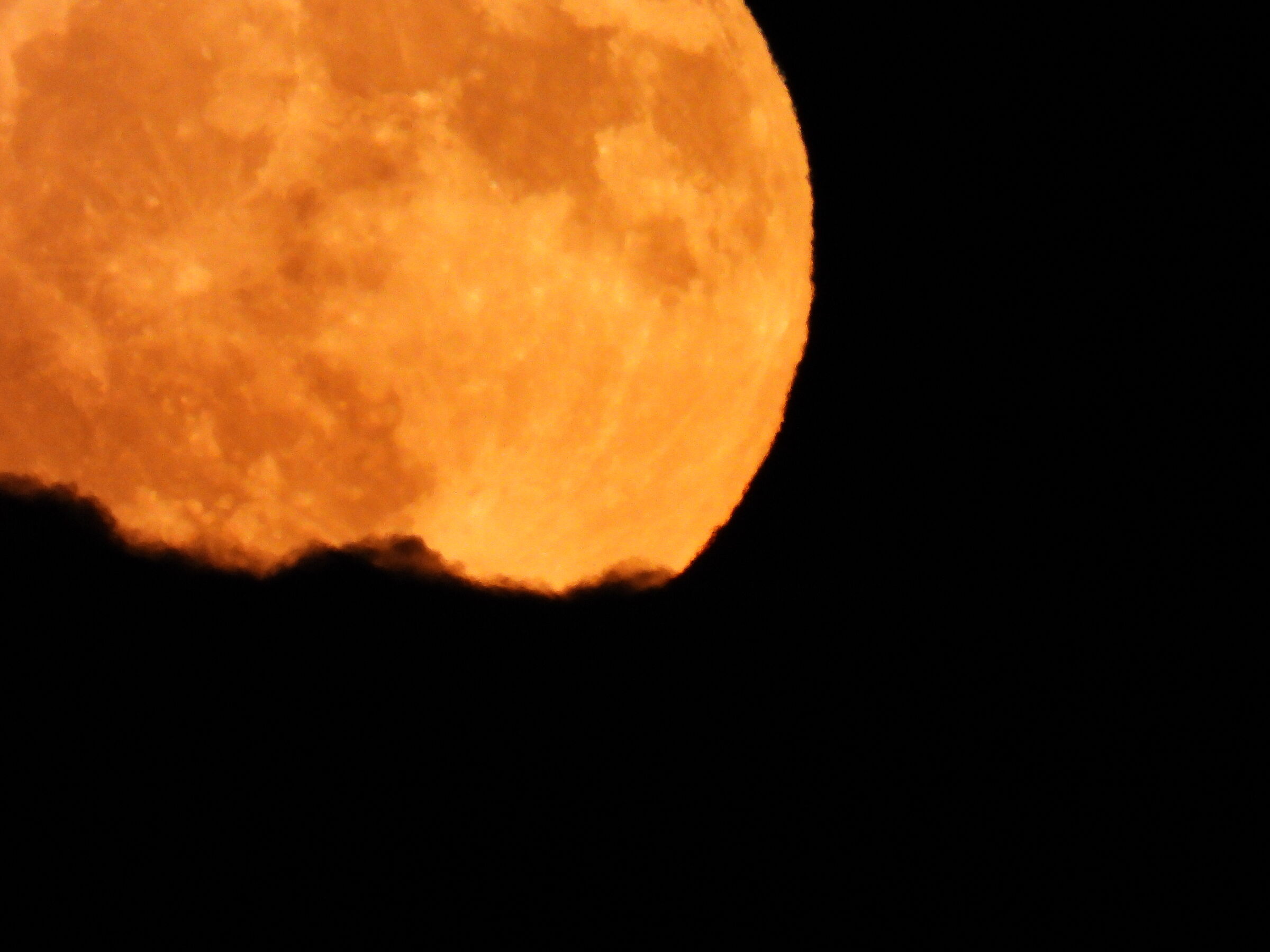 Deer Moon