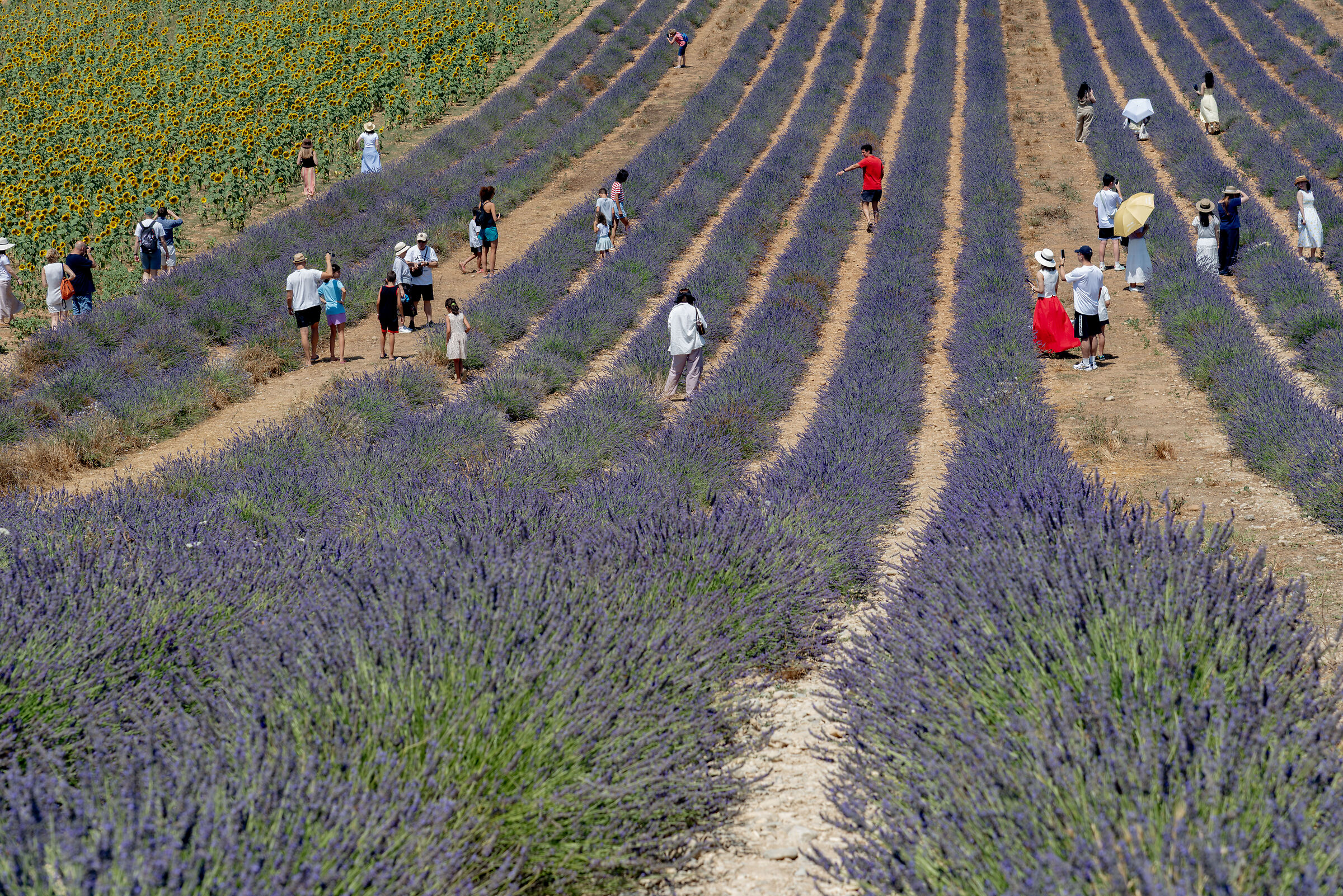 over over turism in Provance