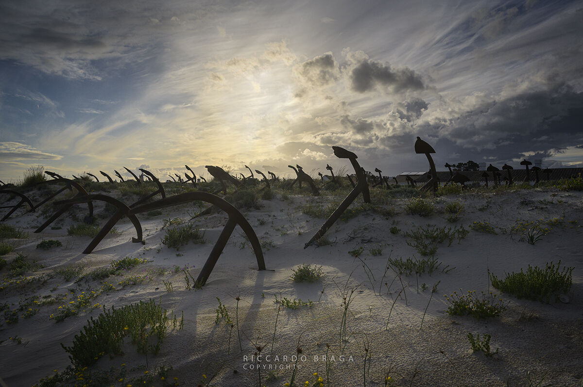 Algarve-Portugal. The cemetery of anchors.