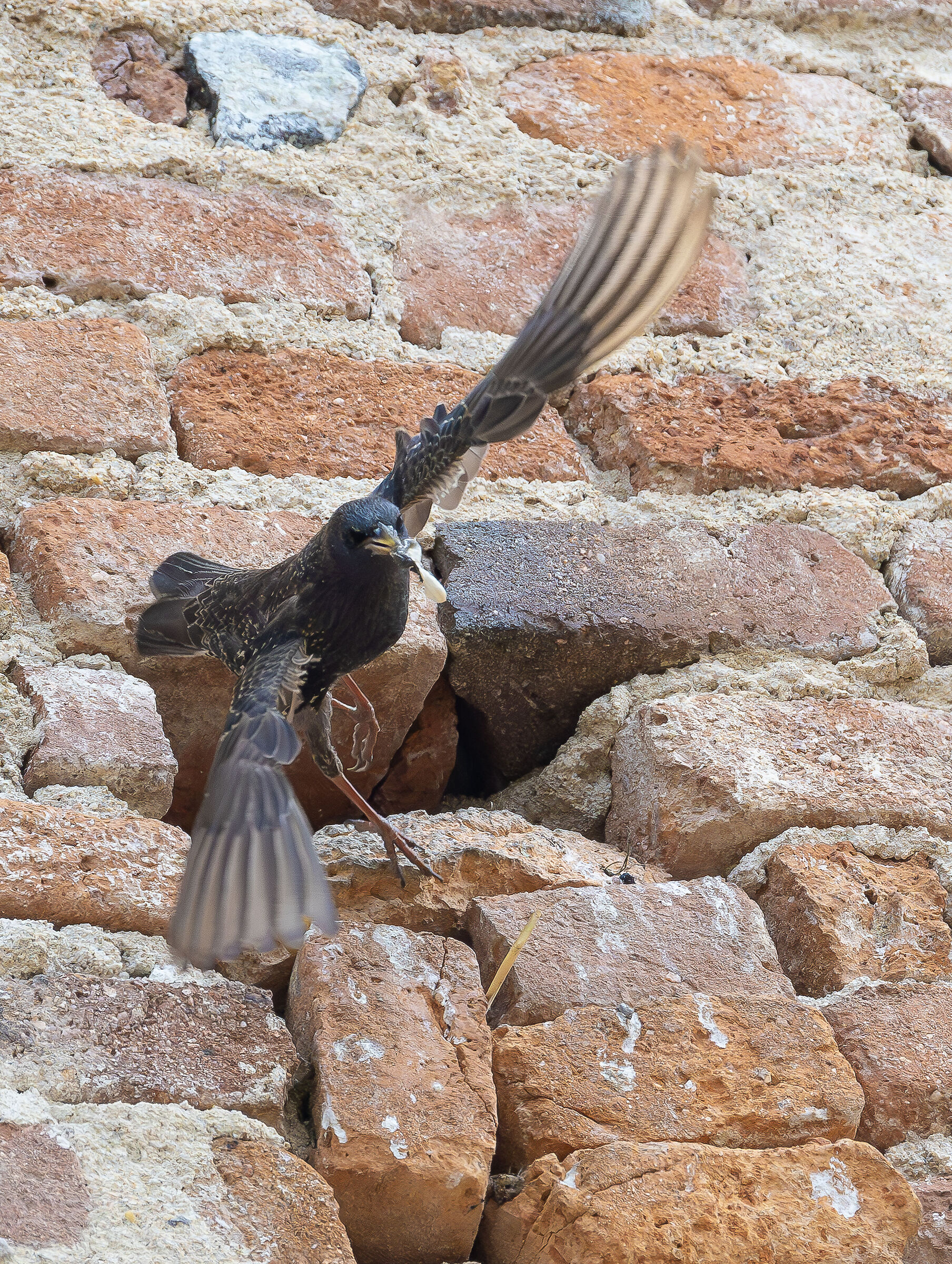 E No.. ! Questo glielo riporto indietro.. !