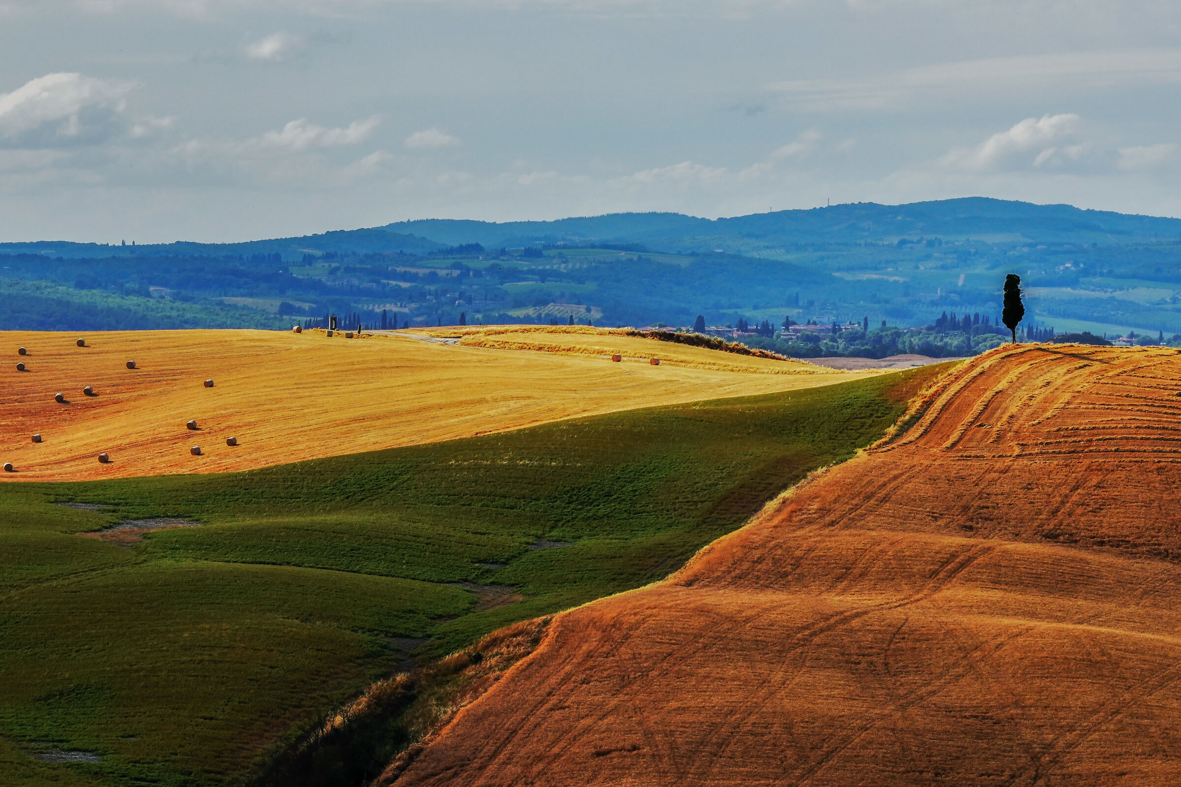 classico toscano...