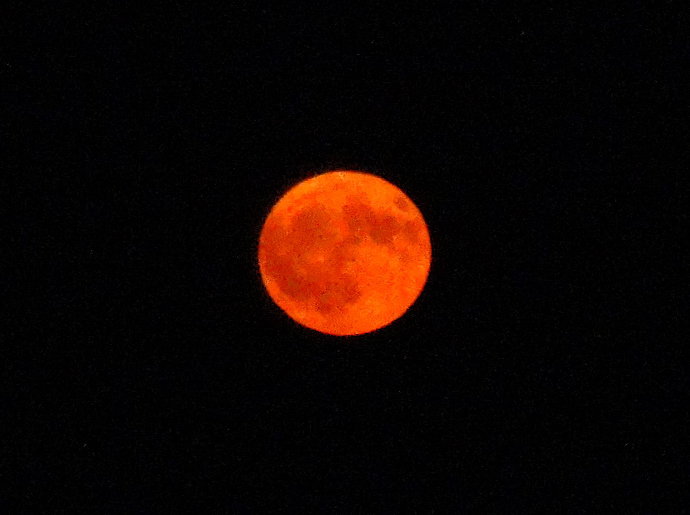 Too bad not to photograph it