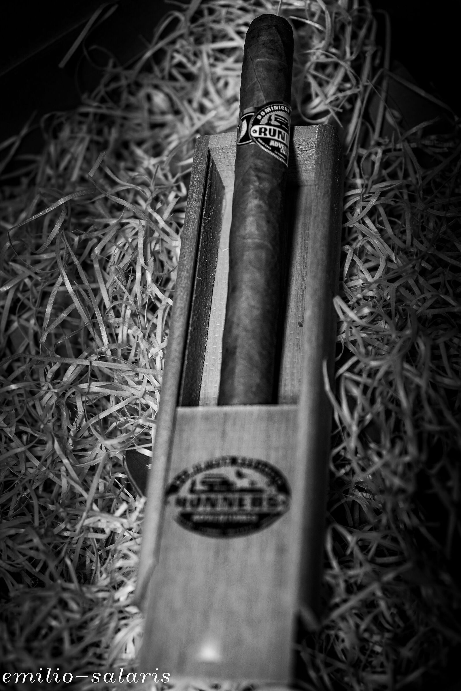 HIS MAJESTY THE CUBAN