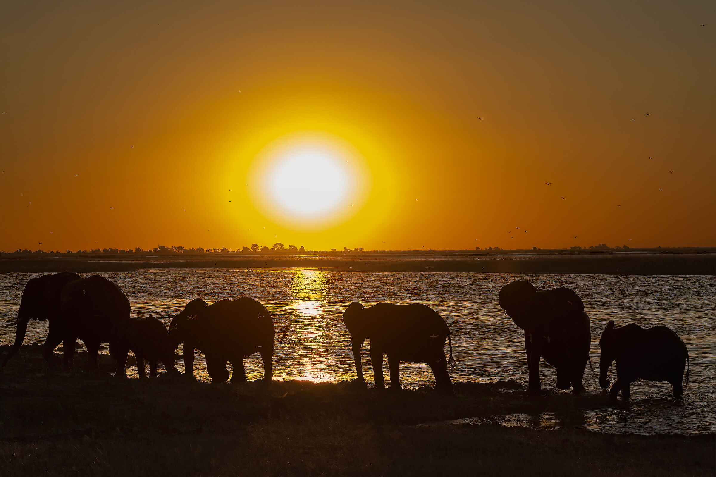 Bagnetto al tramonto