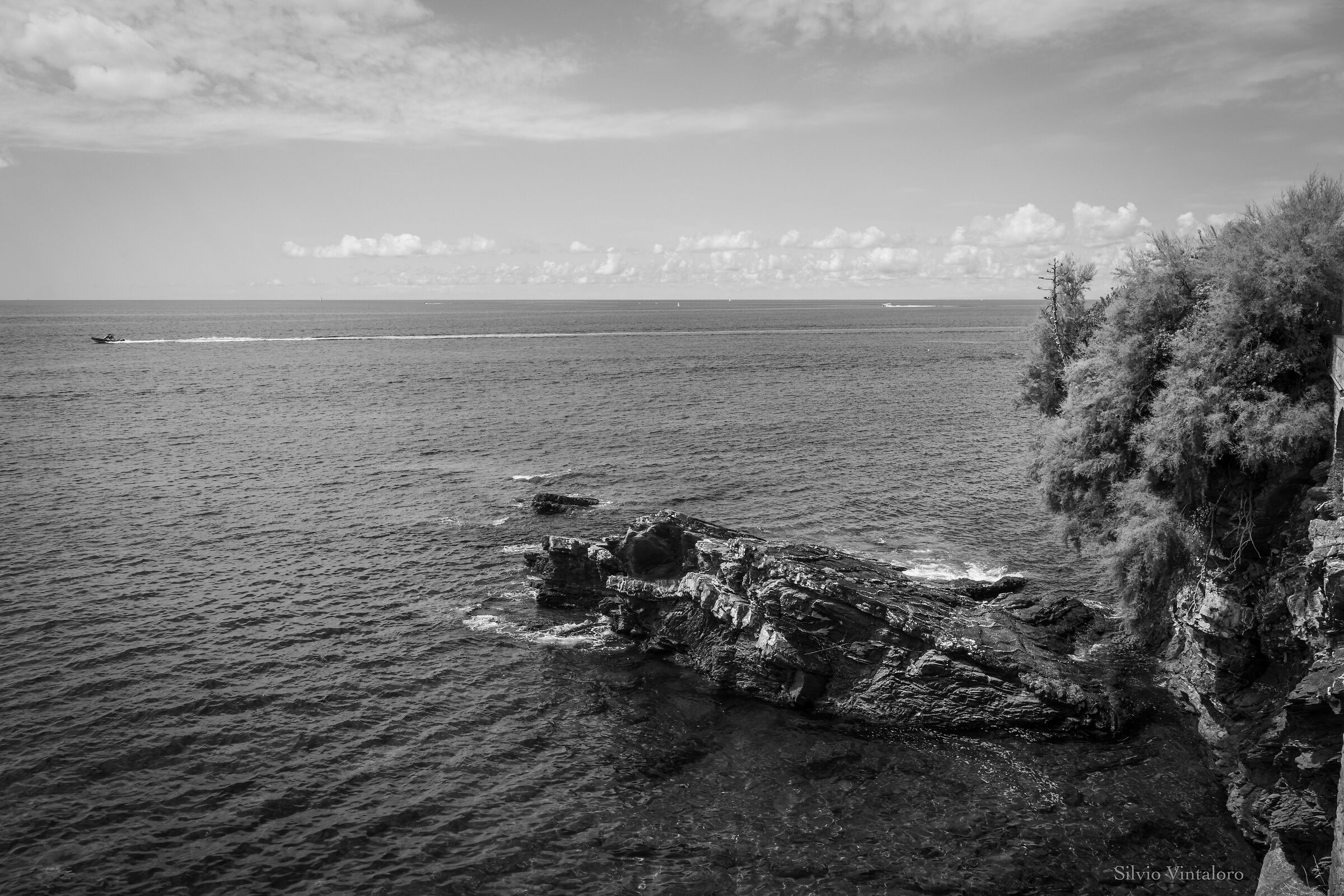 From the Nervi promenade