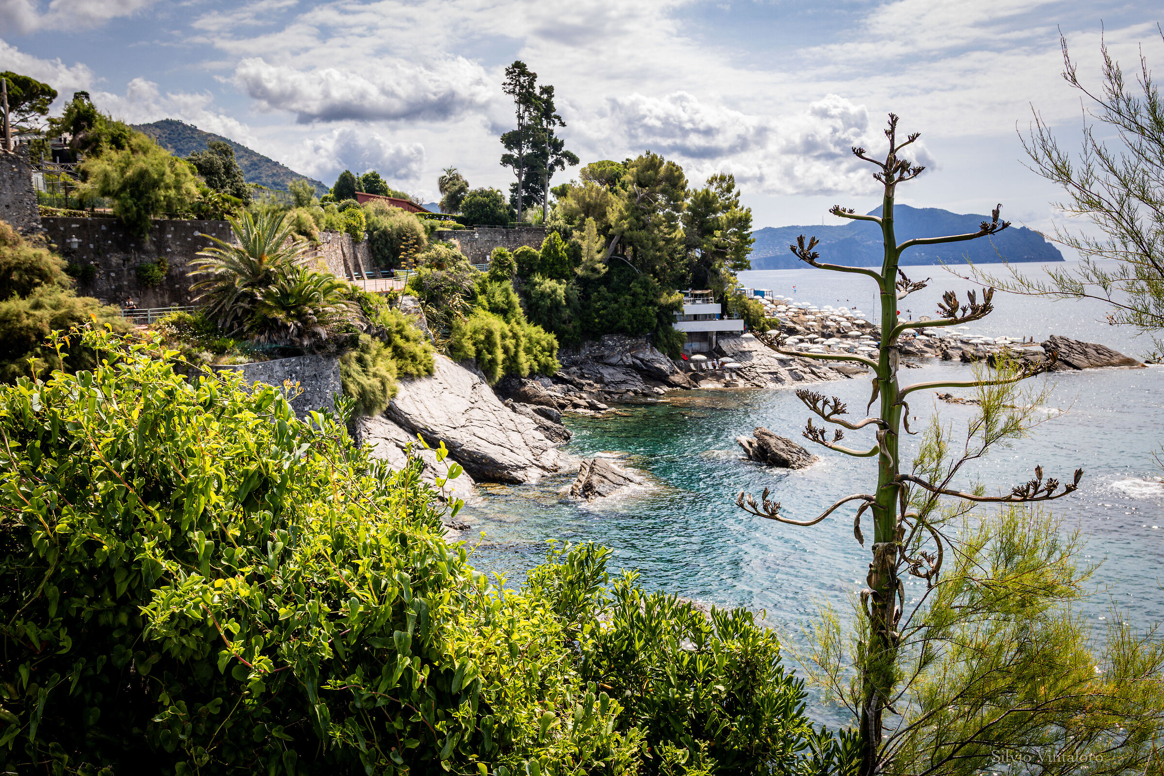 Scorci dalla passeggiata di Nervi