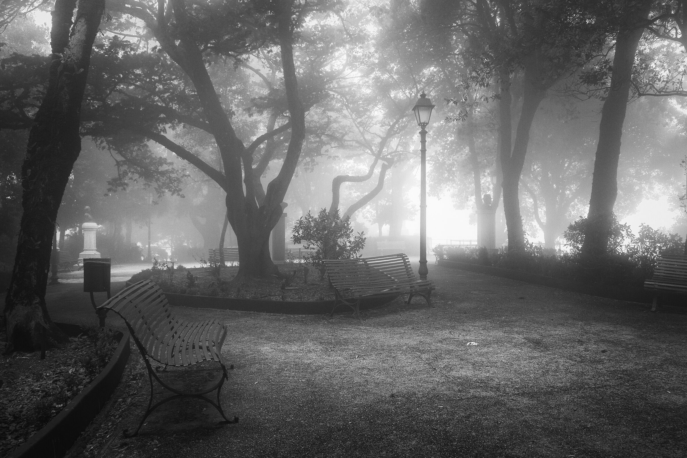 Erice in the fog