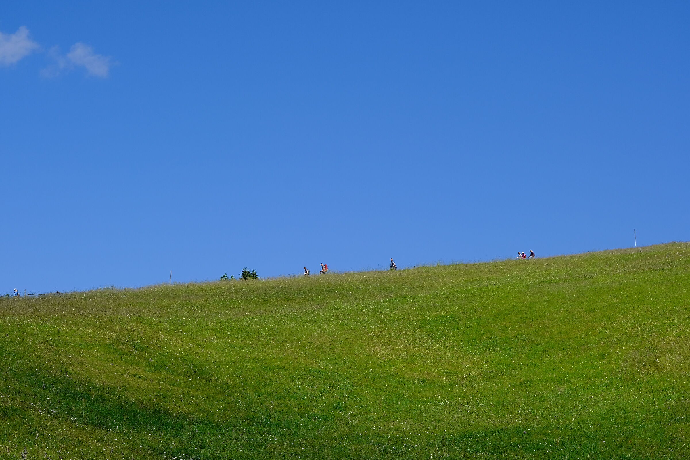 La natura è grande, noi siamo piccoli